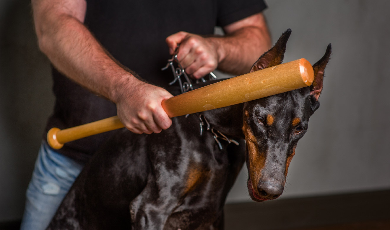 El padrón estaría bajo la administración de la Semarnat, en coordinación con la Fiscalía General de la República,