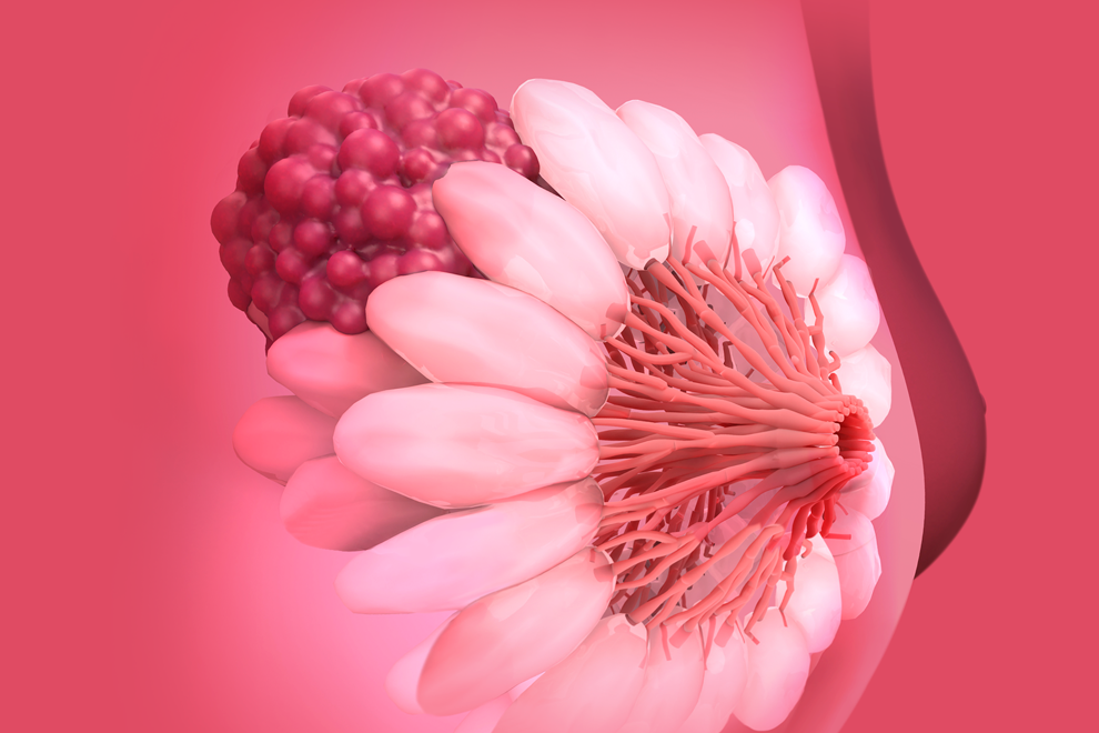 La presidenta Claudia Sheinbaum Pardo explicó que la mitad del presupuesto será aportado por el Instituto Mexicano del Seguro Social (IMSS) y la otra mitad por el Gobierno federal.