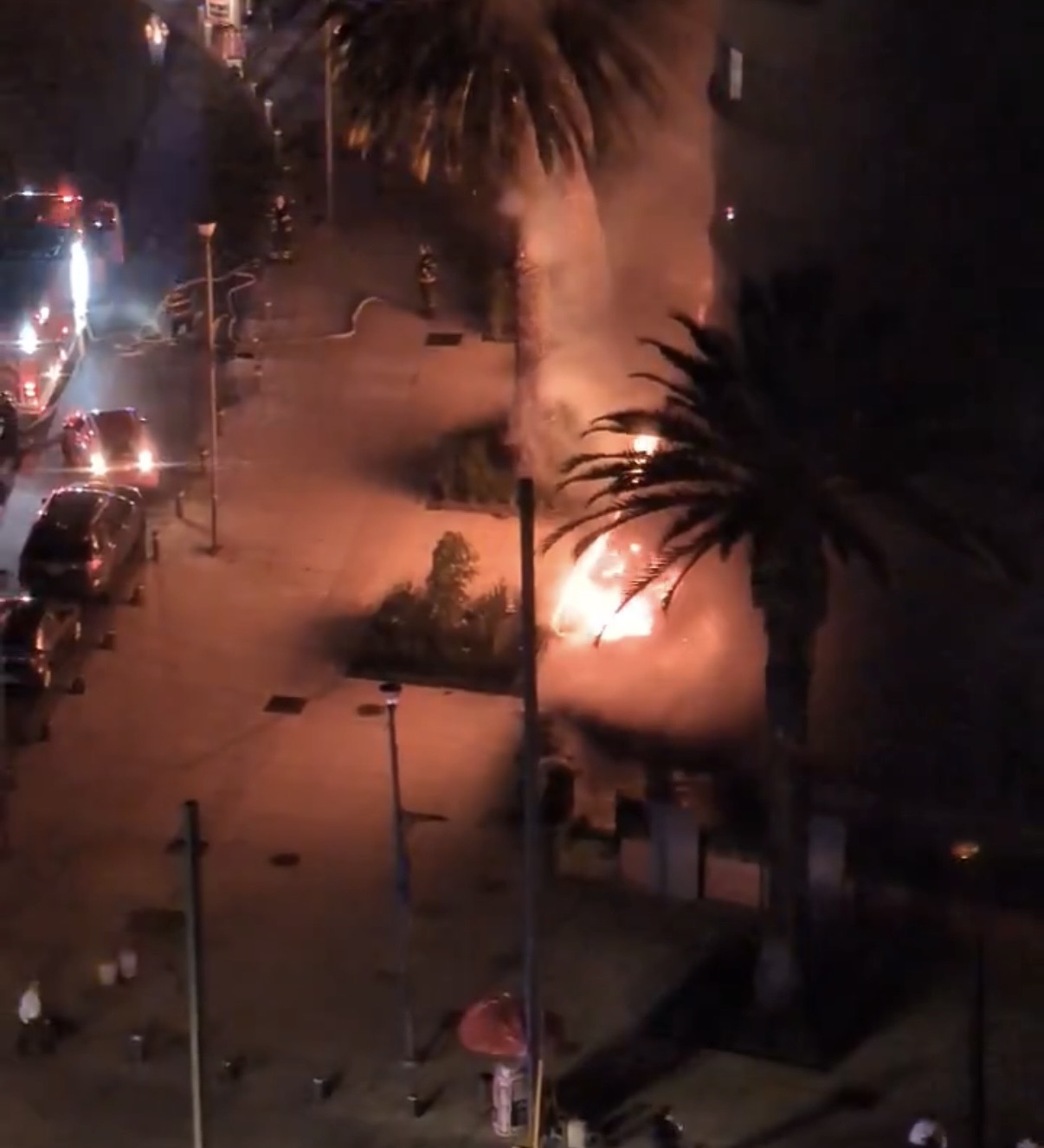 El siniestro provocó una intensa movilización de cuerpos de emergencia, incluyendo elementos del Heroico Cuerpo de Bomberos de la Ciudad de México .