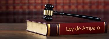 El decreto fue aprobado por la Cámara de Diputados el pasado 14 de octubre, con 345 votos a favor, 131 en contra y 3 abstenciones.