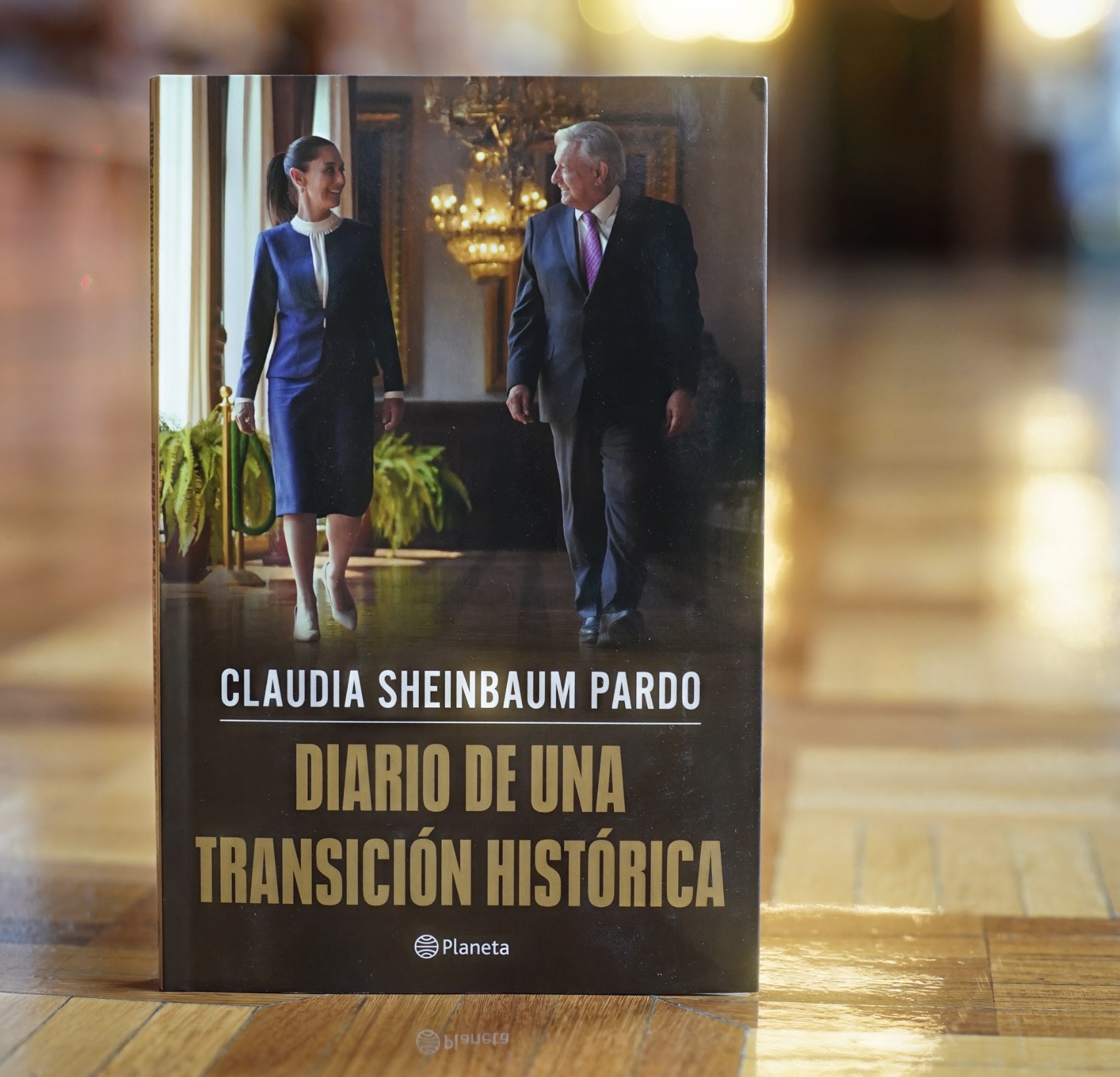 Con una extensión de 248 páginas, el libro ofrece una mirada testimonial sobre el periodo de transición entre el gobierno de Andrés Manuel López Obrador y el inicio de su administración