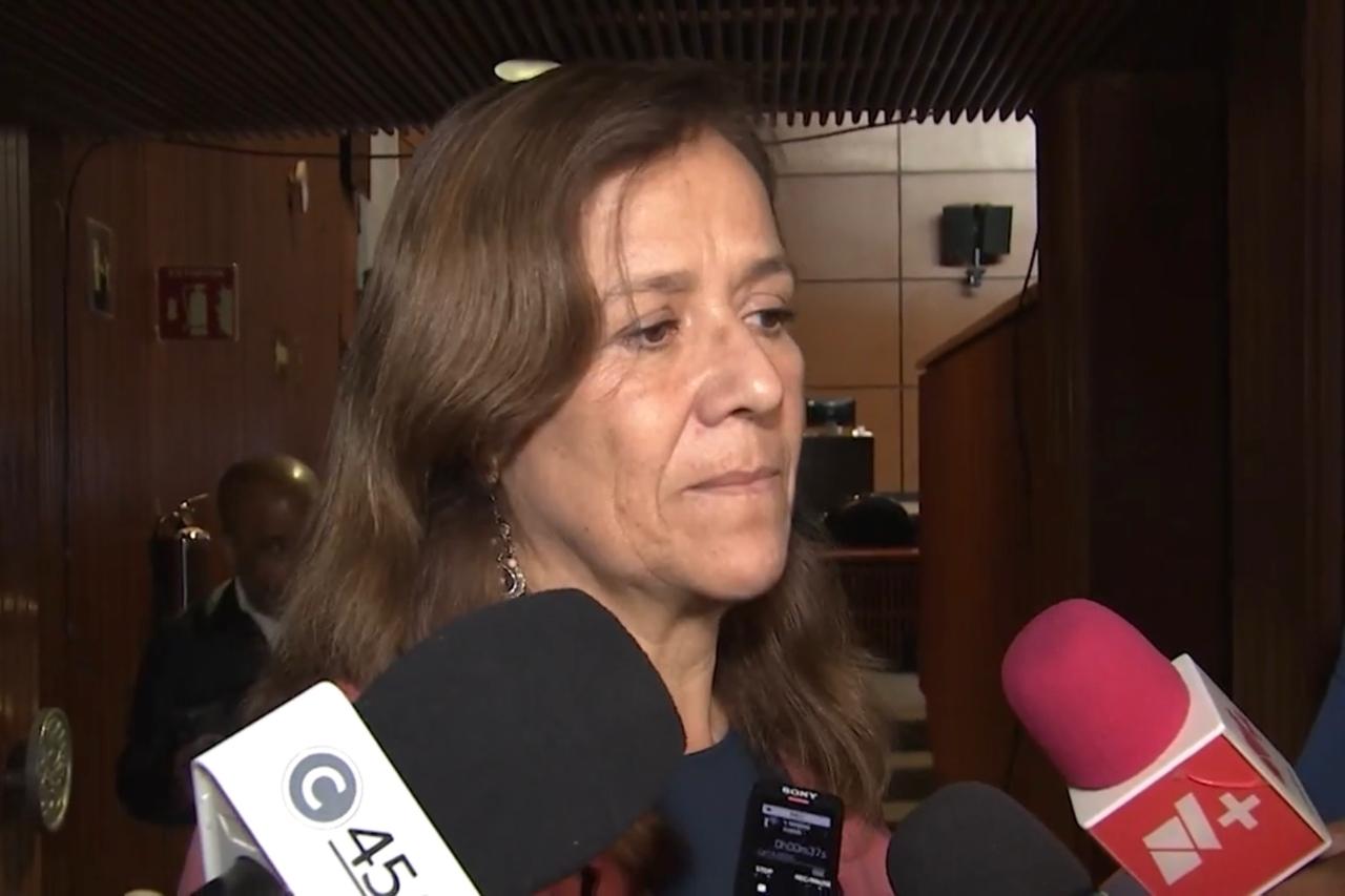 La legisladora panista subrayó que el eje de cualquier modificación debe ser la garantía de protección a los derechos, tanto individuales como colectivos,