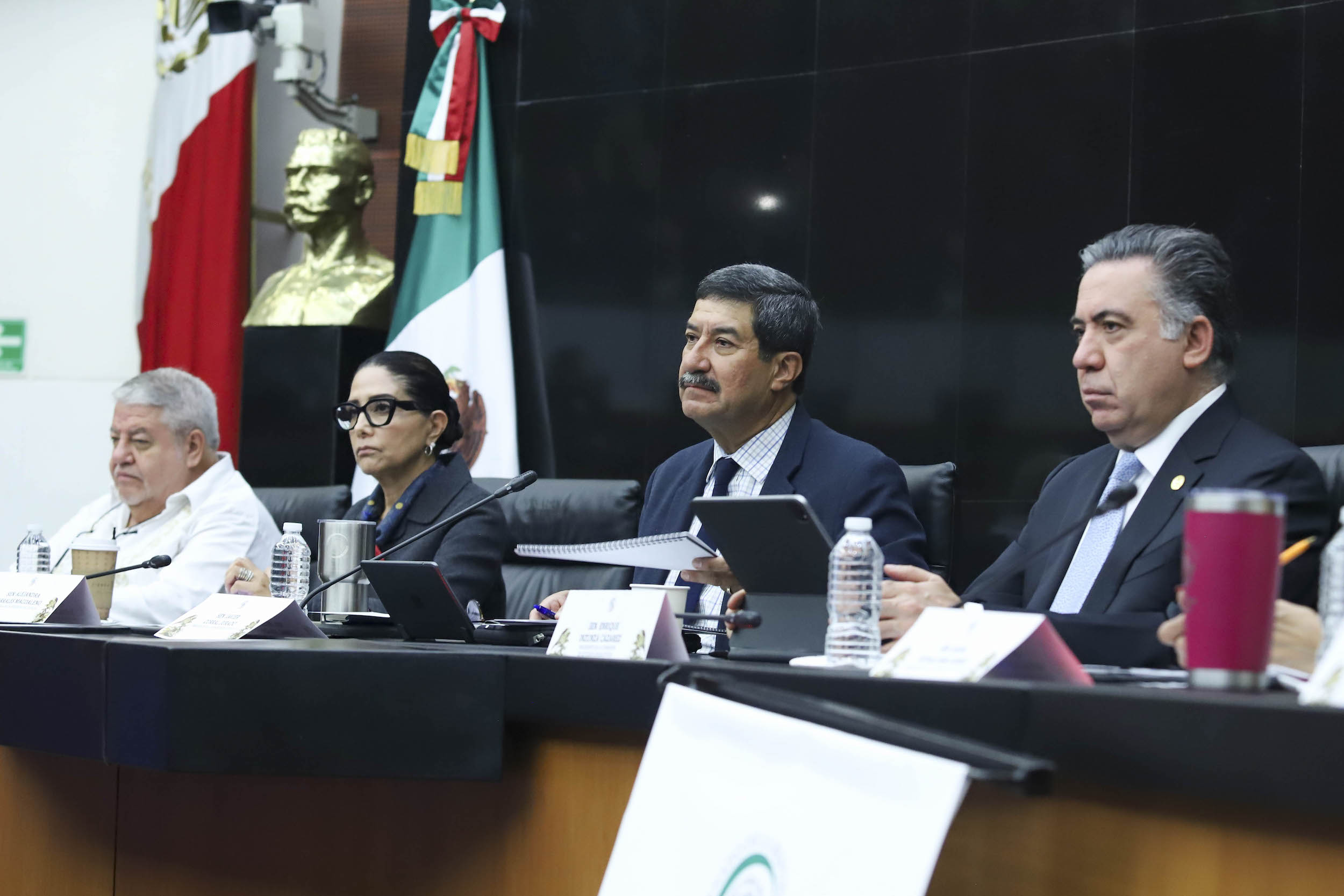 Concluidas las audiencias, las comisiones correspondientes deberán procesar las propuestas recogidas y reconstruir el dictamen que será discutido en el Senado.