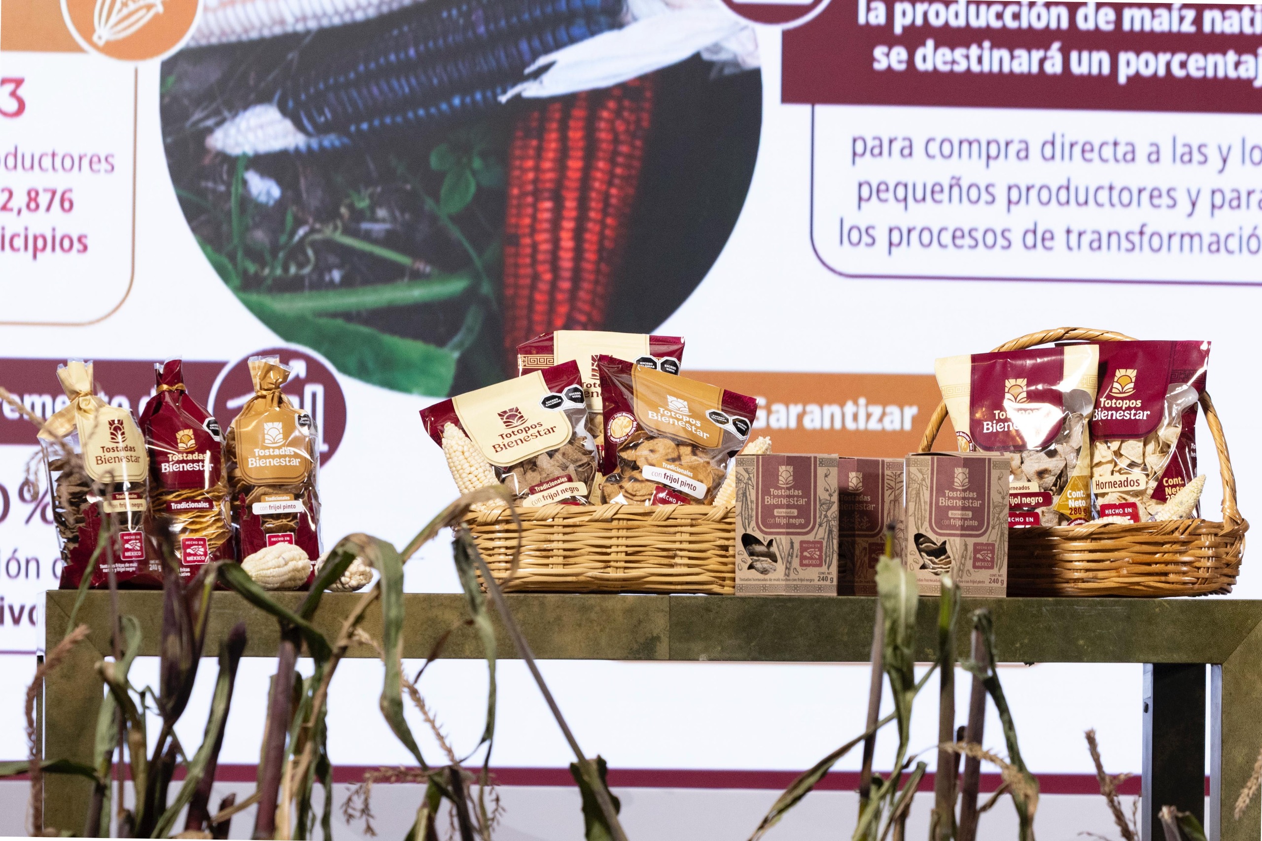 La iniciativa beneficiará progresivamente a cerca de 1.5 millones de pequeños productores, pilares de la milpa y guardianes de la biodiversidad del grano.