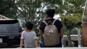 En la Cámara de Diputados se realizó un foro con colectivos y la relatora de la ONU, donde se destacó la urgencia de una legislación que garantice la restitución de derechos a las personas desplazadas.