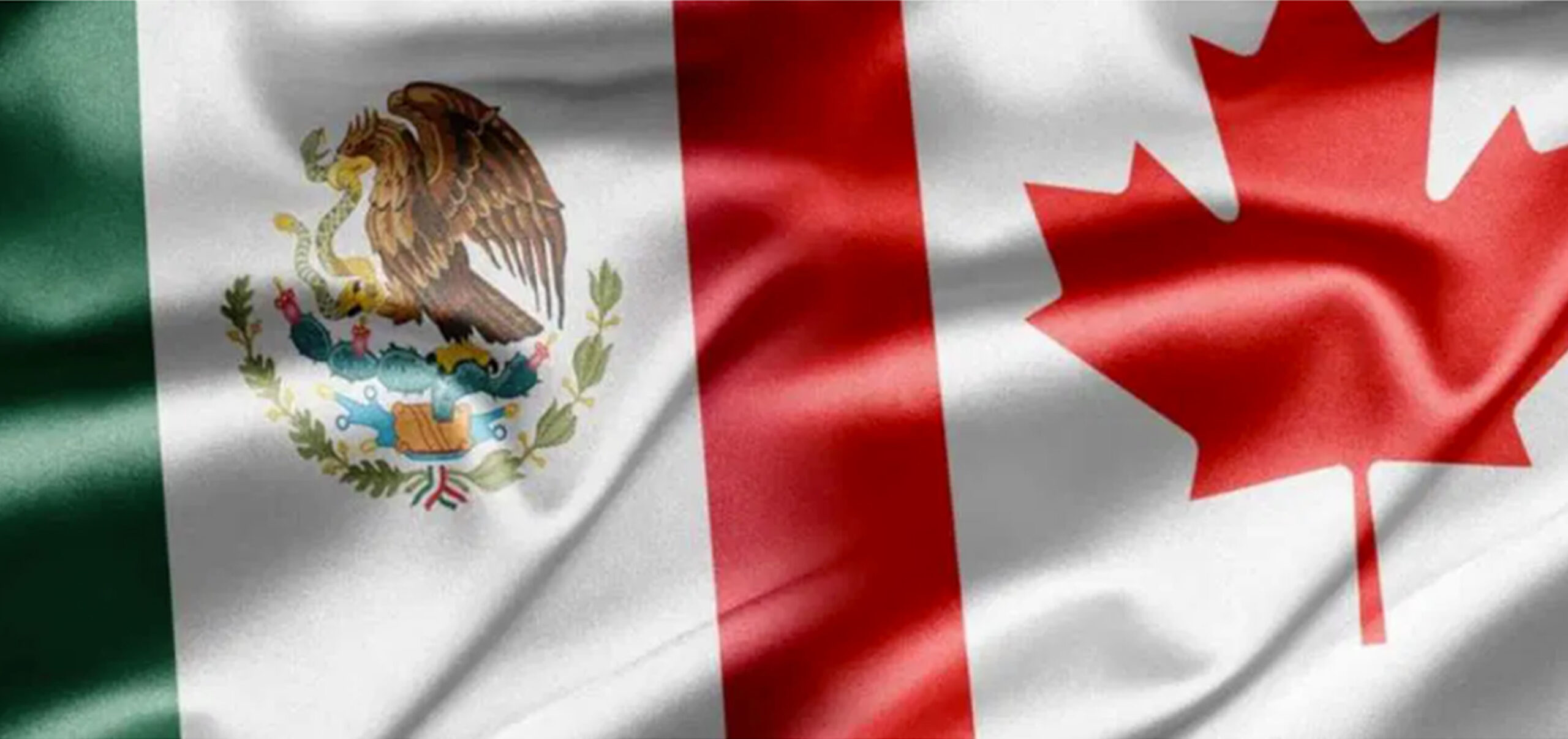 El gobierno canadiense actualizó su alerta de viaje y pidió a sus ciudadanos no visitar entidades como Guerrero, Michoacán, Jalisco y Tamaulipas, entre otras.