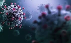 El secretario de Salud, David Kershenobich, descartó que la variante H3N2 de la influenza sea un riesgo pandémico.