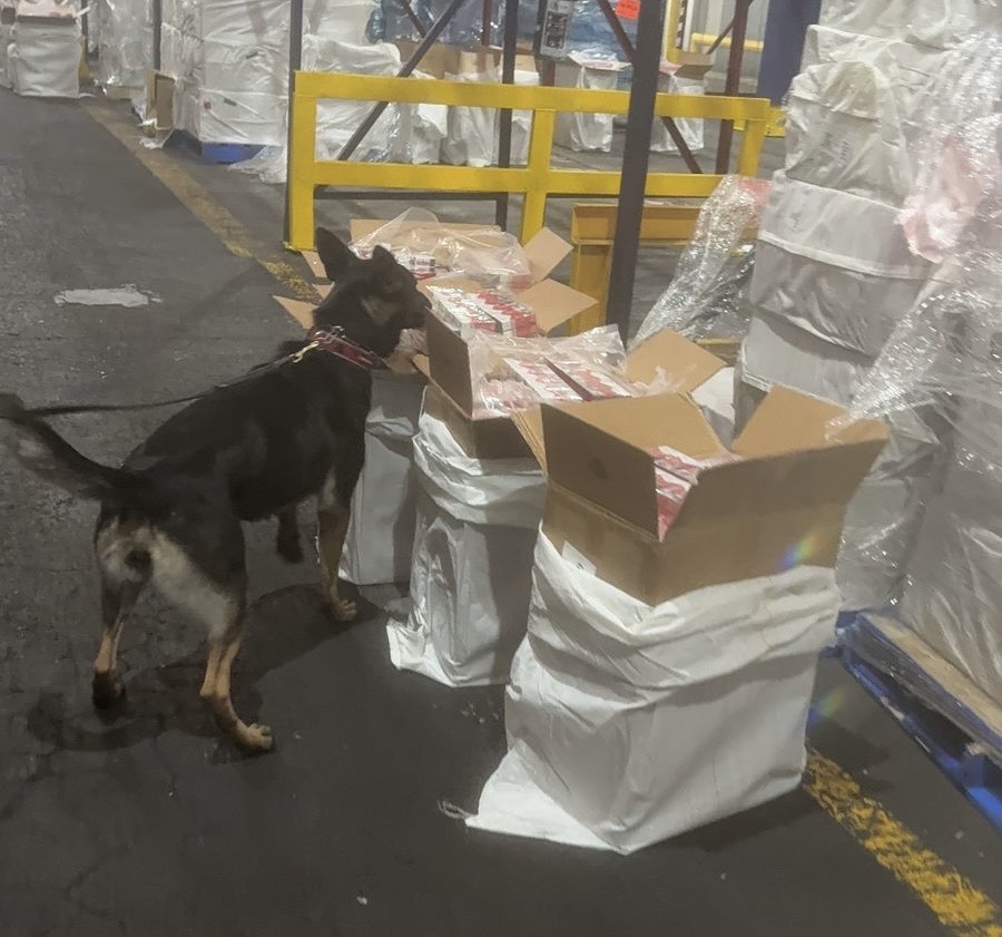 Entre septiembre de 2025 y enero de 2026, la Armada de México aseguró 37 embarques de cigarros de contrabando con un valor superior a 400 millones de pesos en el mercado negro.