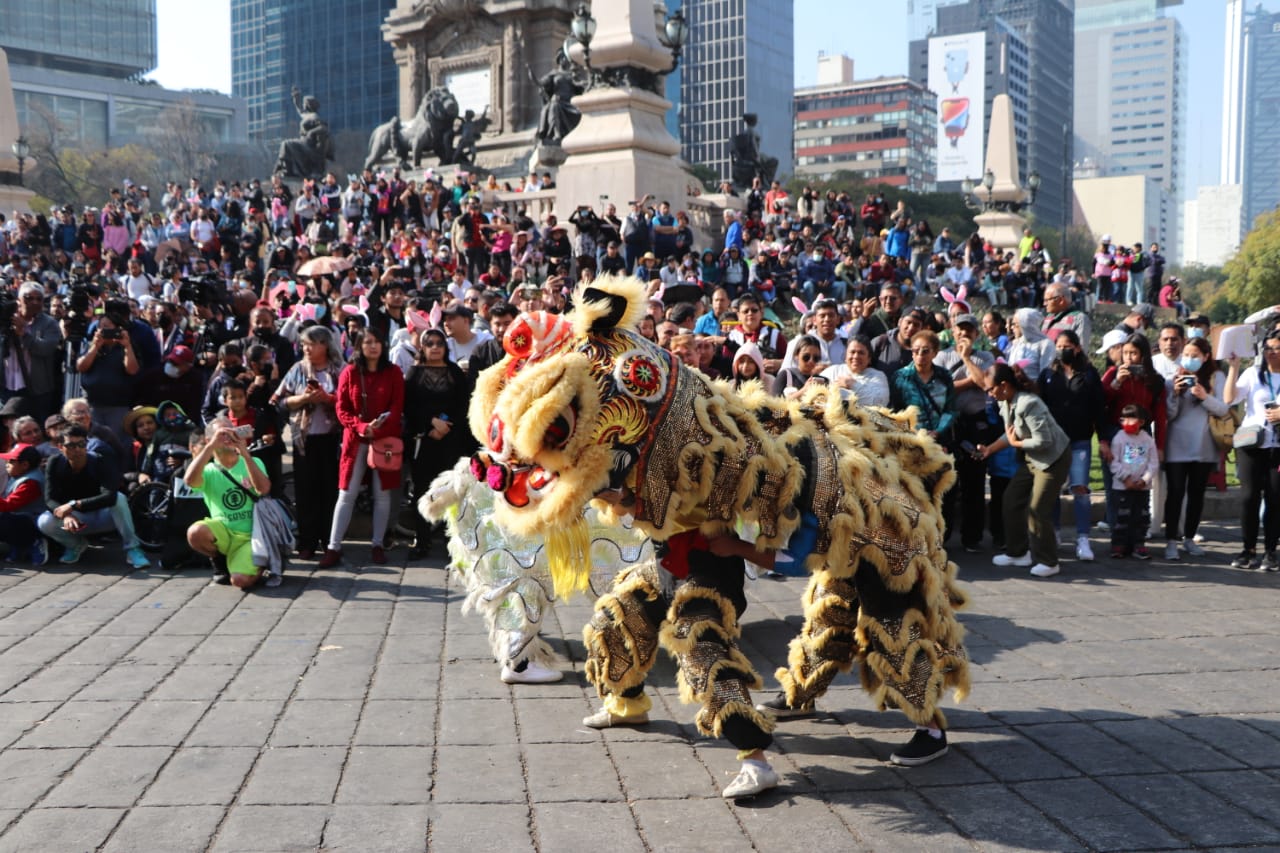 La Ciudad de México vivió este sábado un multitudinario desfile de dragones y leones para celebrar anticipadamente la llegada del Año Nuevo Chino, con una jornada llena de color, tradición y actividades culturales abiertas al público.
