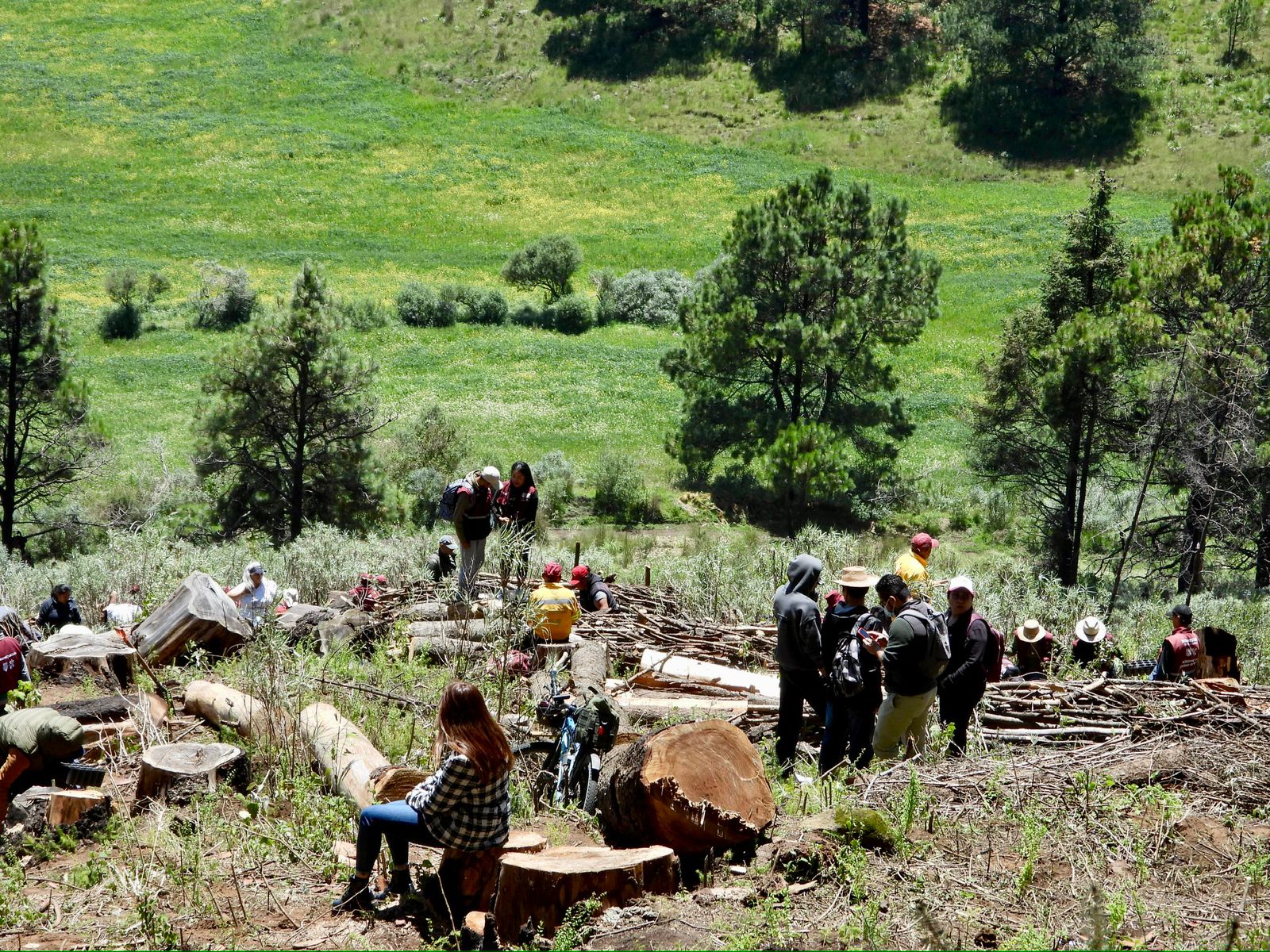 La iniciativa del diputado Óscar Bautista Villegas propone reformar el Código Nacional de Procedimientos Penales para endurecer medidas cautelares en casos de daño grave o irreparable a la biodiversidad y áreas naturales protegidas.