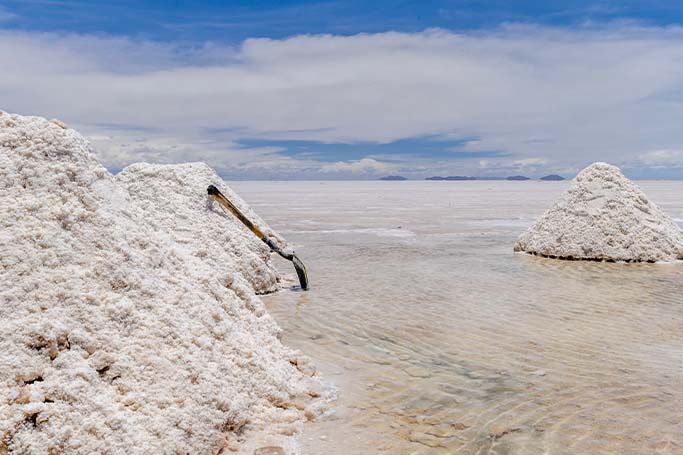 La Presidenta señala que el país no cuenta con yacimientos como los de Sudamérica y que el avance dependerá del desarrollo tecnológico encabezado por el IMP.