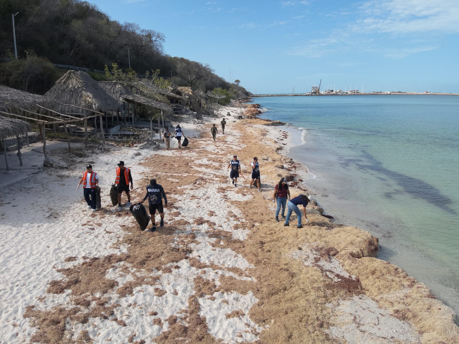 Autoridades federales despliegan más de 3 mil elementos para contener la contaminación; se han recolectado más de 700 toneladas de residuos en costas del país.