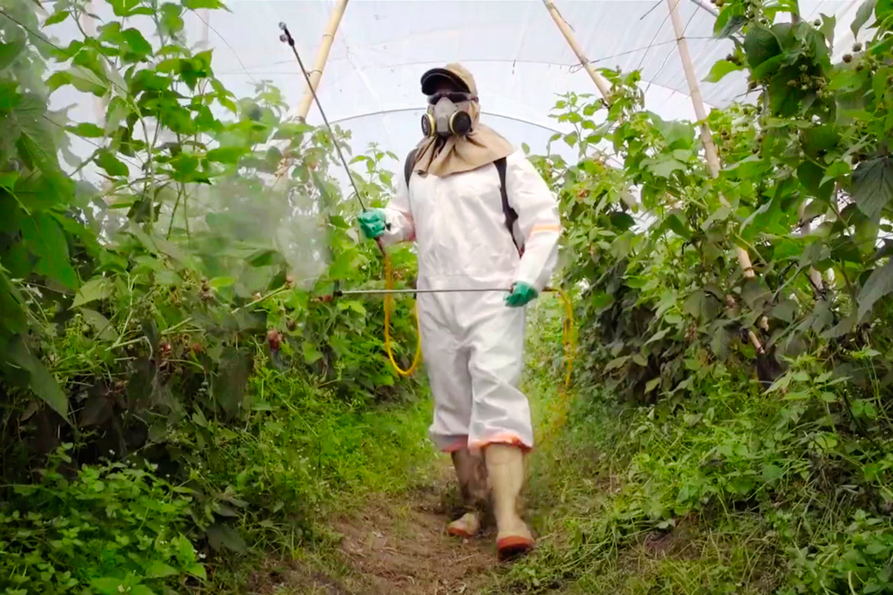 Relator de Naciones Unidas advierte rezagos normativos y pide fortalecer coordinación institucional y políticas públicas para proteger la salud y el medio ambiente.