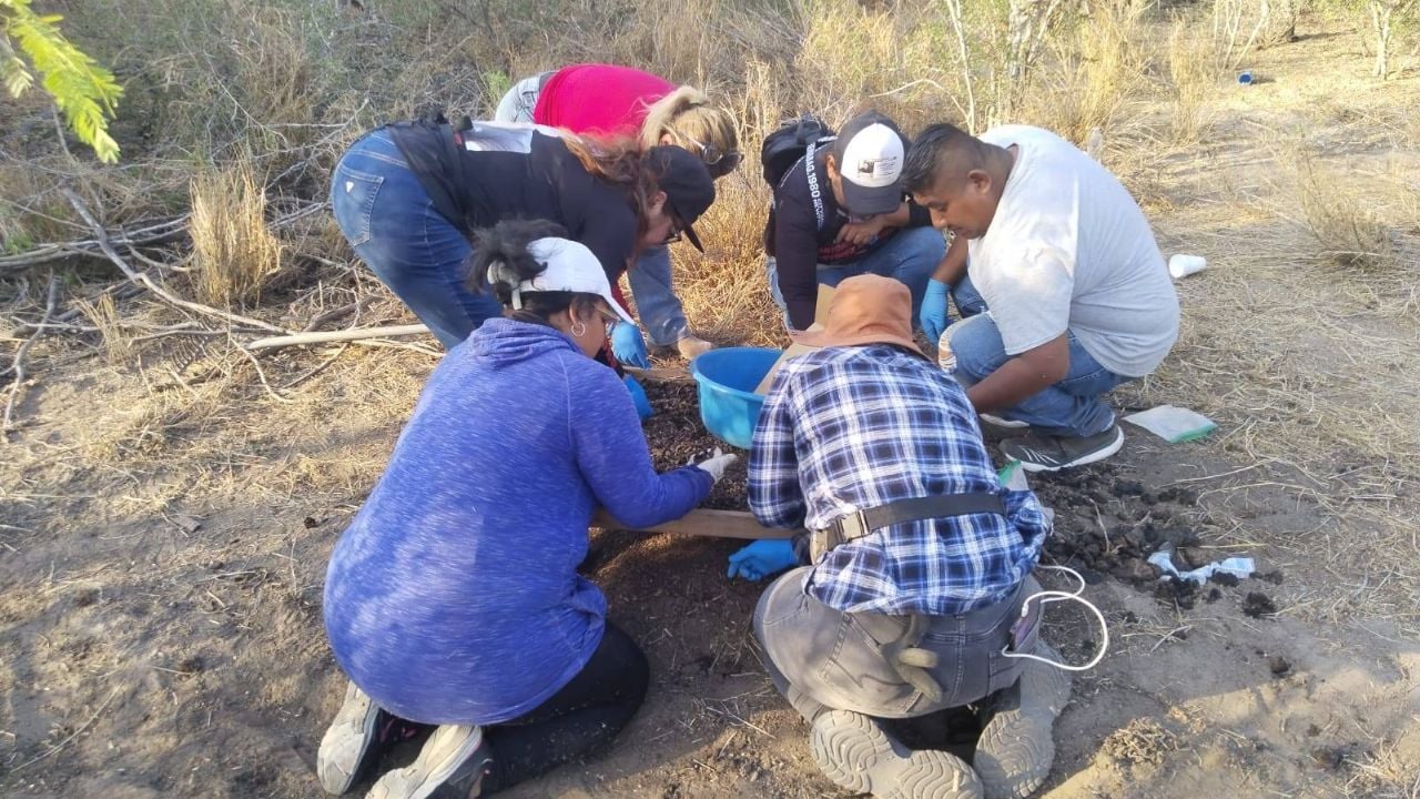 El hallazgo fue realizado por el colectivo “Amor por los desaparecidos” en un predio abandonado; se reportan restos óseos calcinados y enterrados, sin que hasta ahora exista una cifra oficial de víctimas.