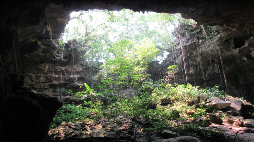 El diputado Francisco Javier Borrego Adame presentó dos puntos de acuerdo para reforzar la protección ambiental y los derechos de la comunidad Tenek de Aquismón, tras sobrevuelos de helicópteros atribuidos a Grupo Vidanta que habrían provocado la muerte de aves.