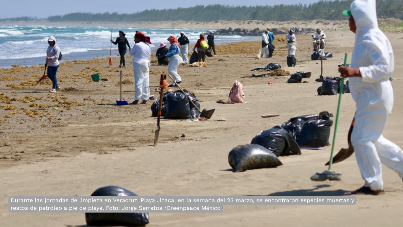 La organización ambientalista cuestionó que el cese de tres mandos medios no resuelve la crisis socioambiental provocada por la fuga de hidrocarburo y exigió reconocer la responsabilidad institucional de la petrolera estatal.