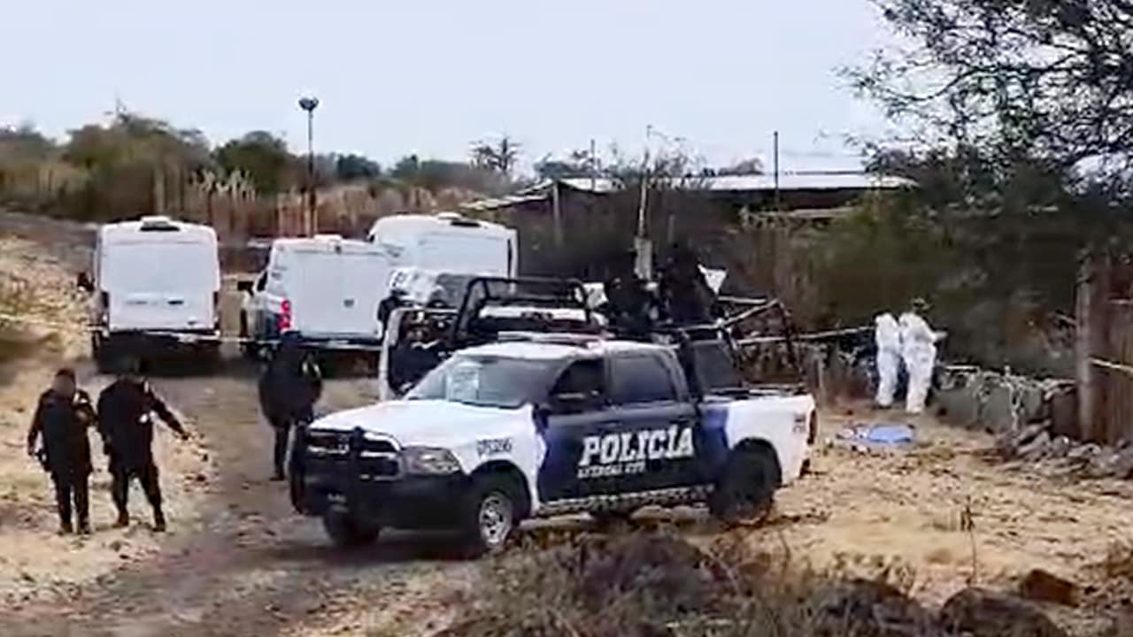 Marzo de 2026 registró el menor nivel de asesinatos en más de una década. El gobierno federal reportó caídas en feminicidio, secuestro y robo con violencia, aunque advirtió alza de 2.2% en robo a vivienda con violencia.