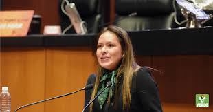 La dirigencia nacional del Partido Verde confirmó que competirá sin alianza en San Luis Potosí para la elección de 2027, en medio de tensiones por candidaturas y reglas internas de Morena.