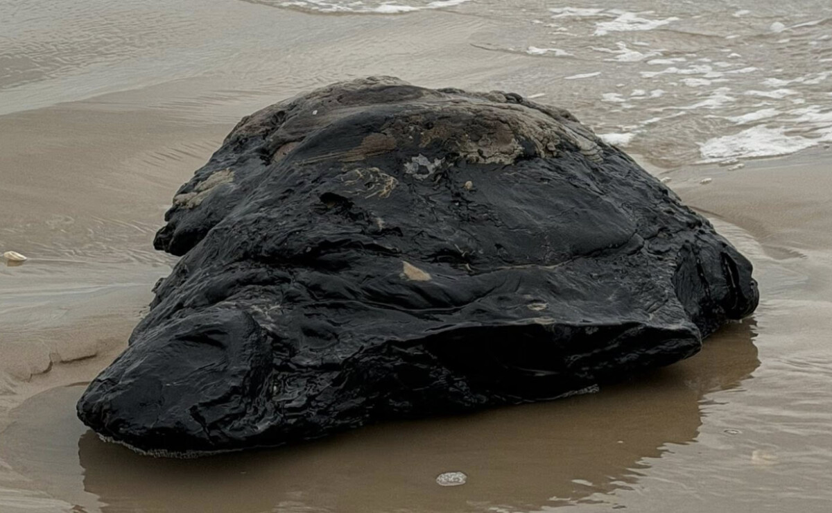 La presidenta señala que no hay quejas de Estados Unidos mientras avanza la investigación científica sobre el origen del hidrocarburo en playas mexicanas.