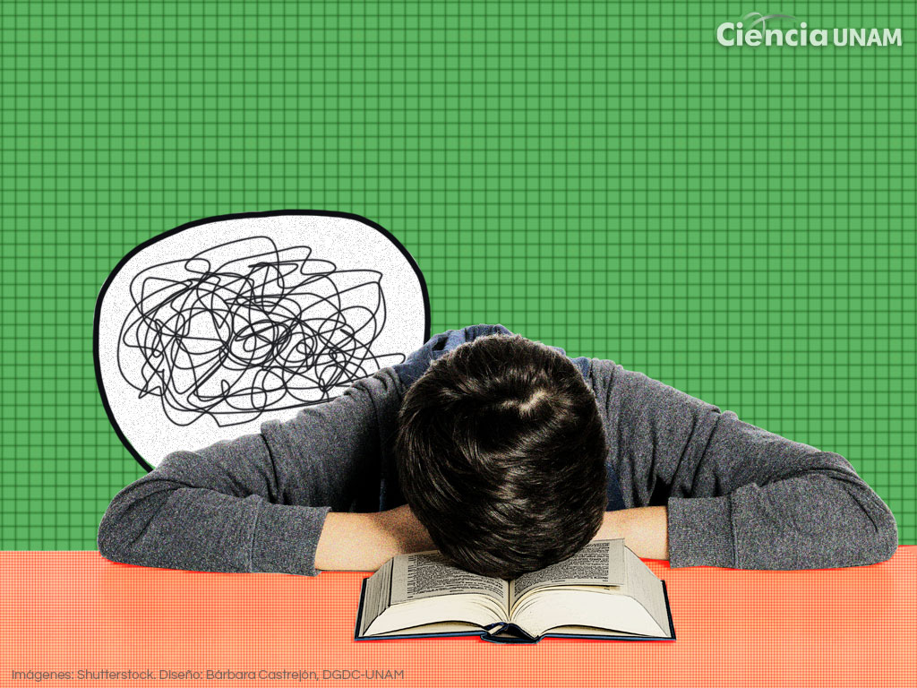 La nueva política pública prioriza la prevención de riesgos emocionales en adolescentes con acciones en escuelas, familias y comunidades.