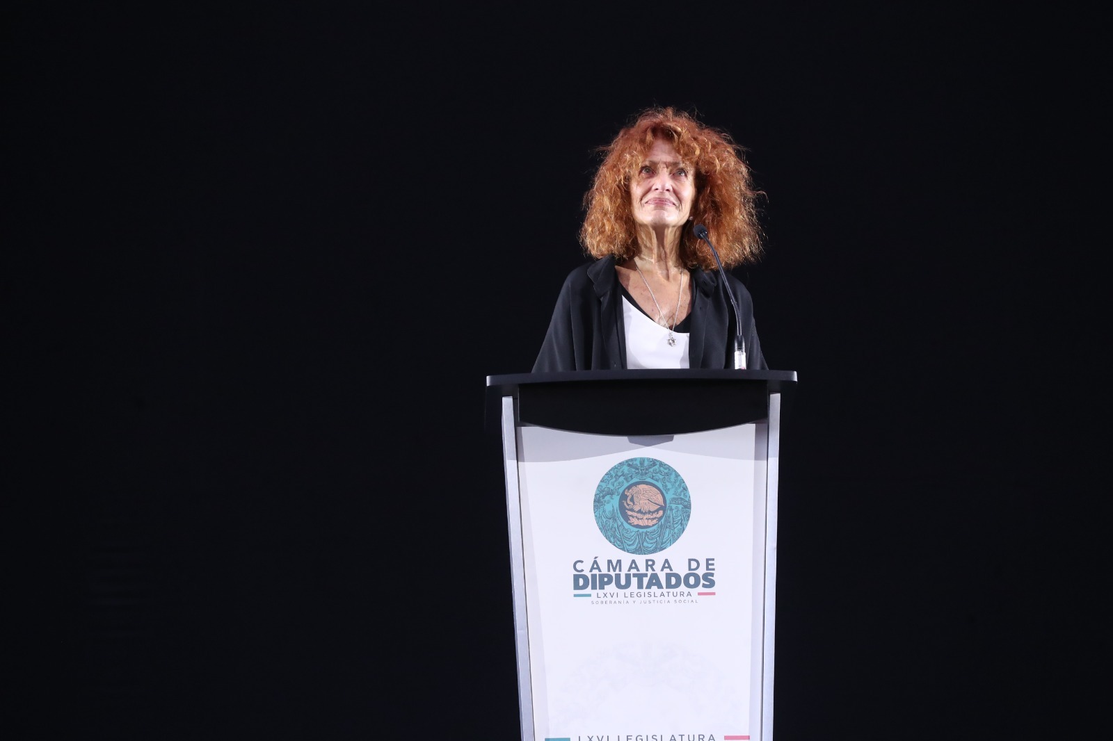 La presidenta del Comité de Transparencia de la Cámara de Diputados, Aliza Klip Moshinsky, informó que se propondrá publicar versiones públicas de los expedientes y exámenes del proceso de selección de consejerías del INE, resguardando únicamente datos personales.