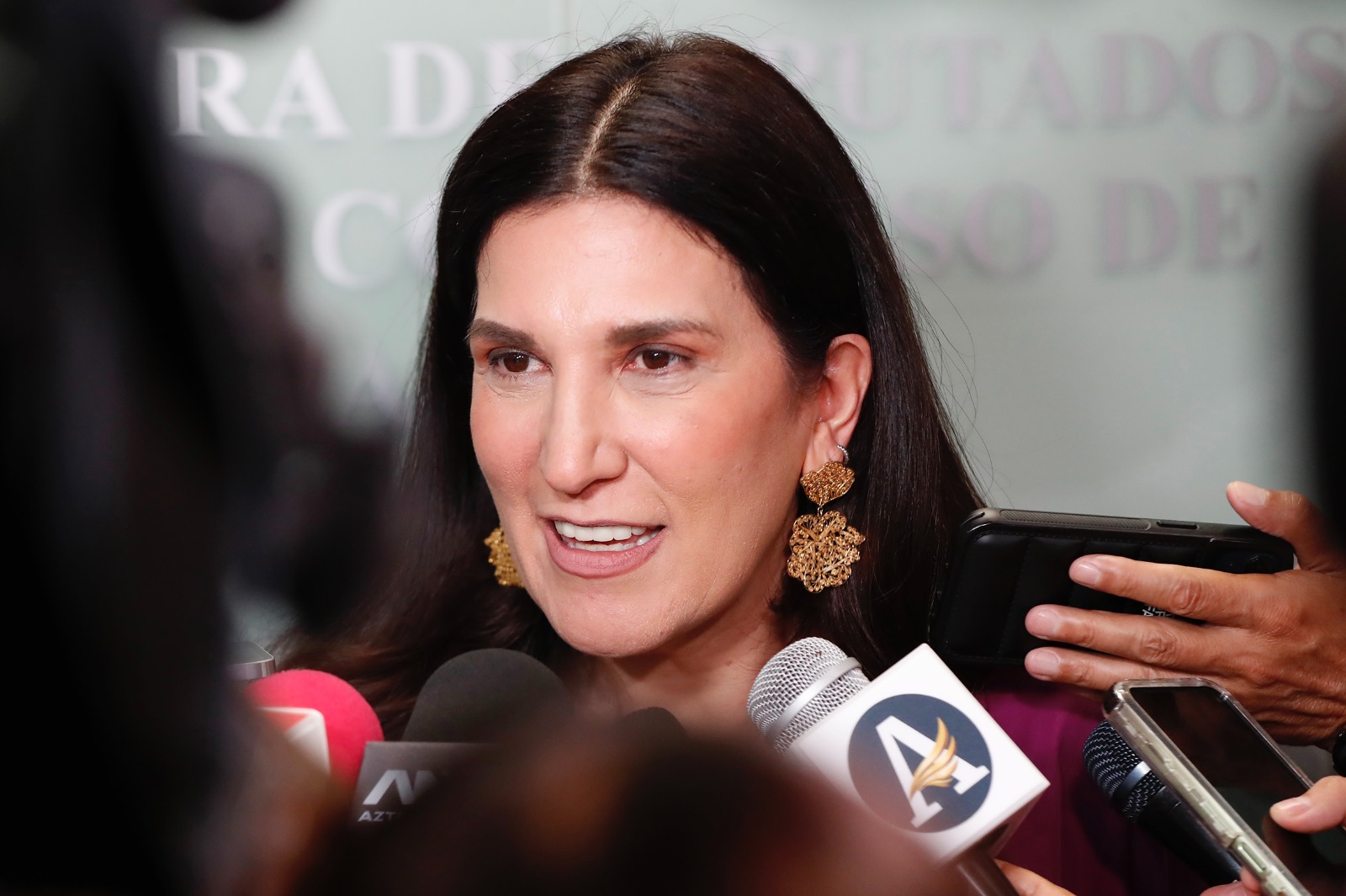 La presidenta de la Mesa Directiva en San Lázaro afirmó que acordar candidaturas con el crimen organizado es “traición a la patria” y exigió frenar la impunidad