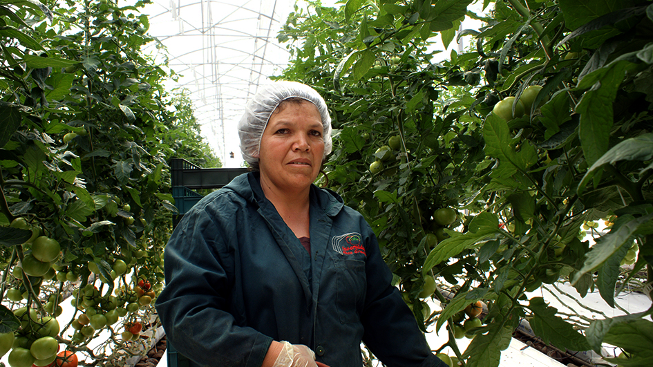 En México, siete de cada 10 mujeres mayores de 15 años son madres; casi la mitad de las que trabajan gana apenas hasta un salario mínimo y dedican más de 20 horas semanales al cuidado del hogar, revelan cifras del INEGI rumbo al 10 de mayo.