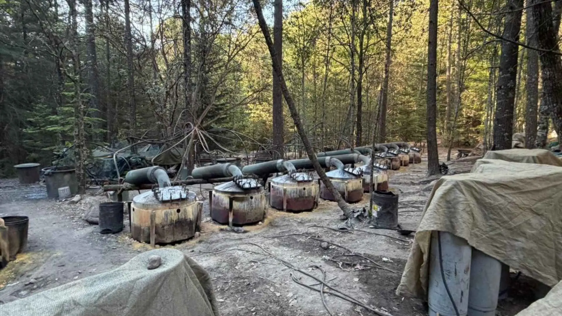 La Fiscalía General de la República informó que en el sitio localizado en la Sierra del Pinal, municipio de Morelos, fueron asegurados precursores químicos, metanfetamina y equipo para la elaboración de drogas sintéticas; no hubo detenidos.