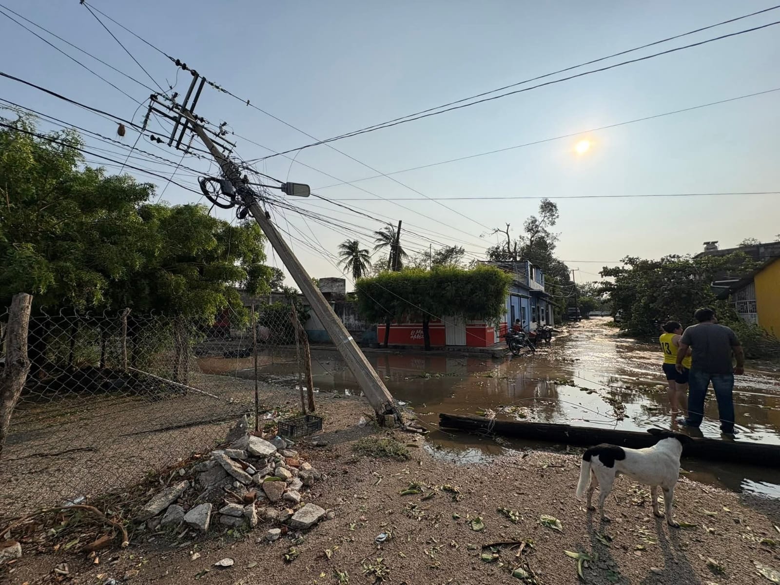 Una intensa turbonada azotó este martes al municipio de San Francisco Ixhuatán, en el Istmo de Tehuantepec, donde los fuertes vientos derribaron árboles, postes de energía y techos de viviendas, dejando daños materiales y comunidades incomunicadas.