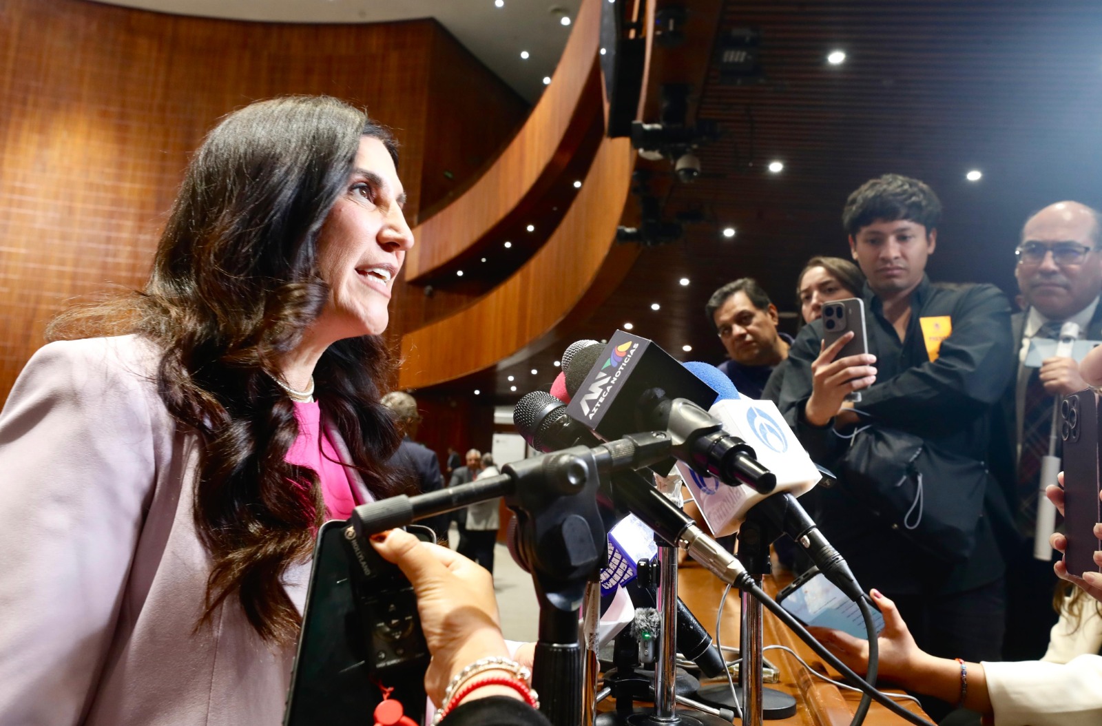 La vicepresidenta de la Cámara de Diputados alertó que cancelar candidaturas de manera sesgada dañaría al pueblo de México y acusó omisiones para impedir la infiltración del crimen organizado en elecciones.