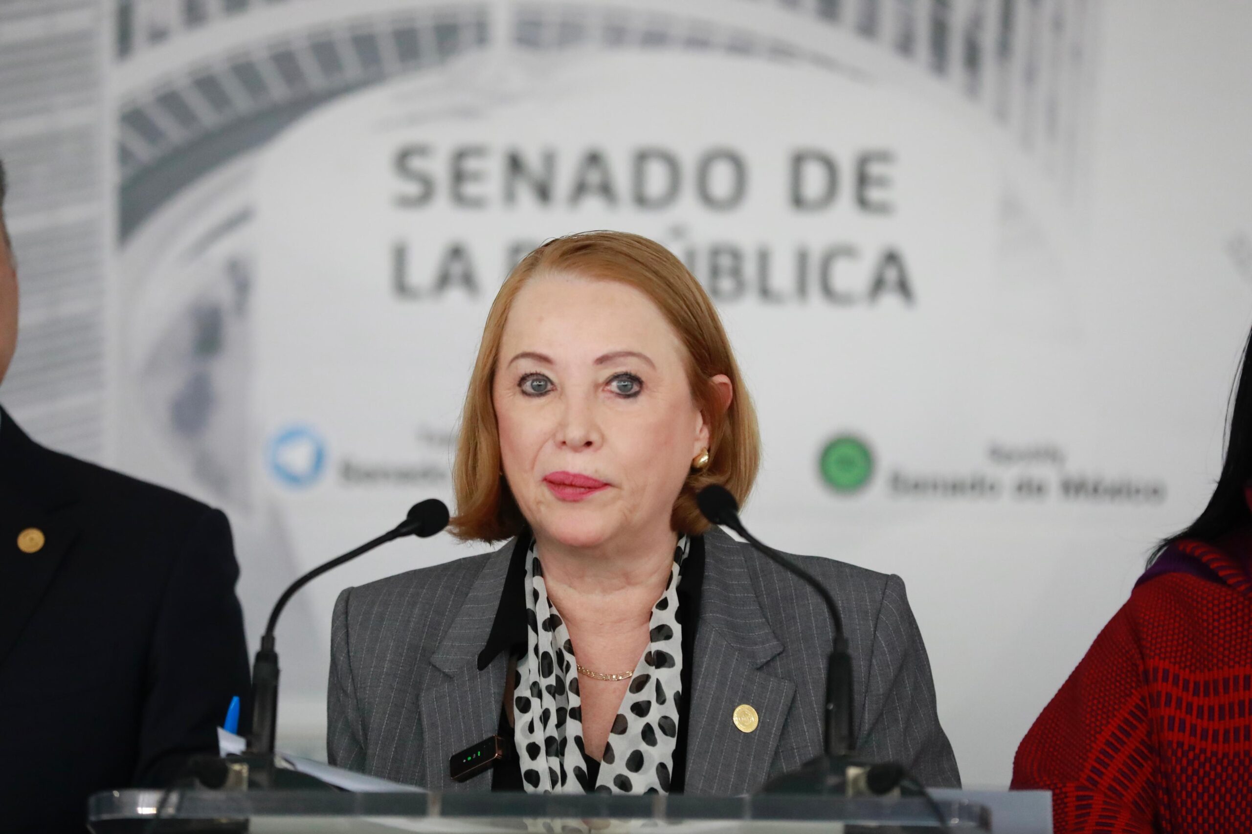 La presidenta del Senado, Laura Itzel Castillo Juárez, informó que la Comisión Permanente analizará temas nacionales e internacionales y adelantó que podrían convocarse periodos extraordinarios si surgen reformas constitucionales o legales urgentes.