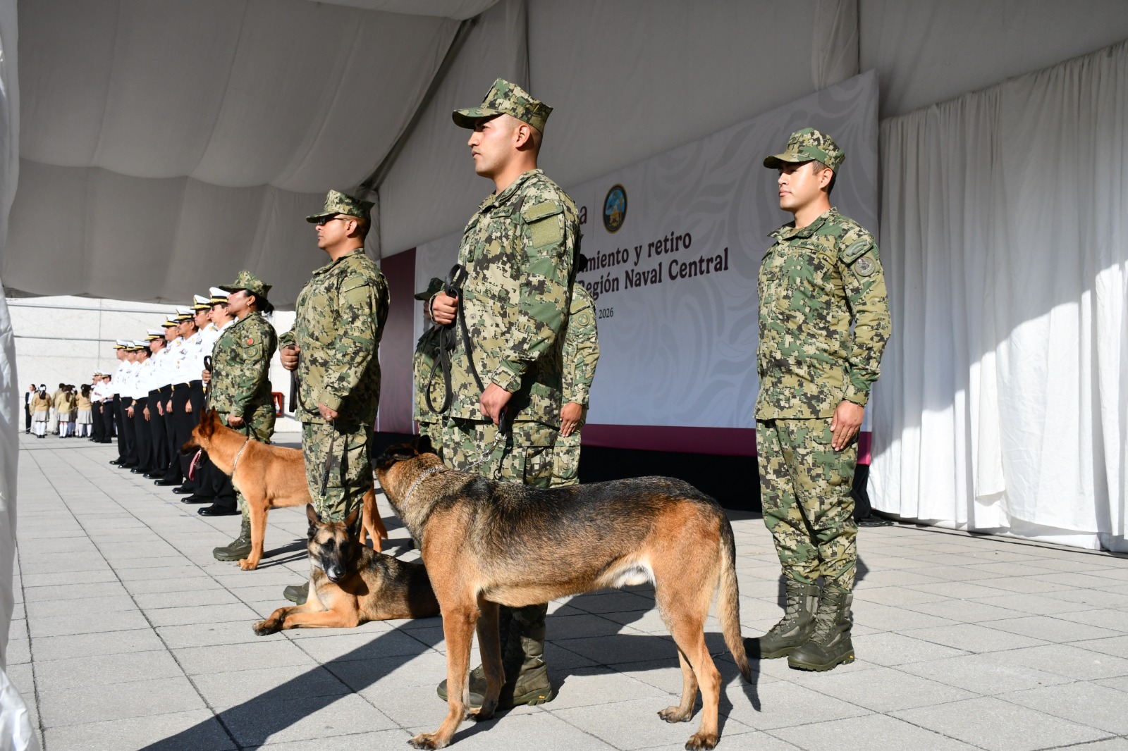 Reconoce Semar la trayectoria de tres binomios caninos ejemplares