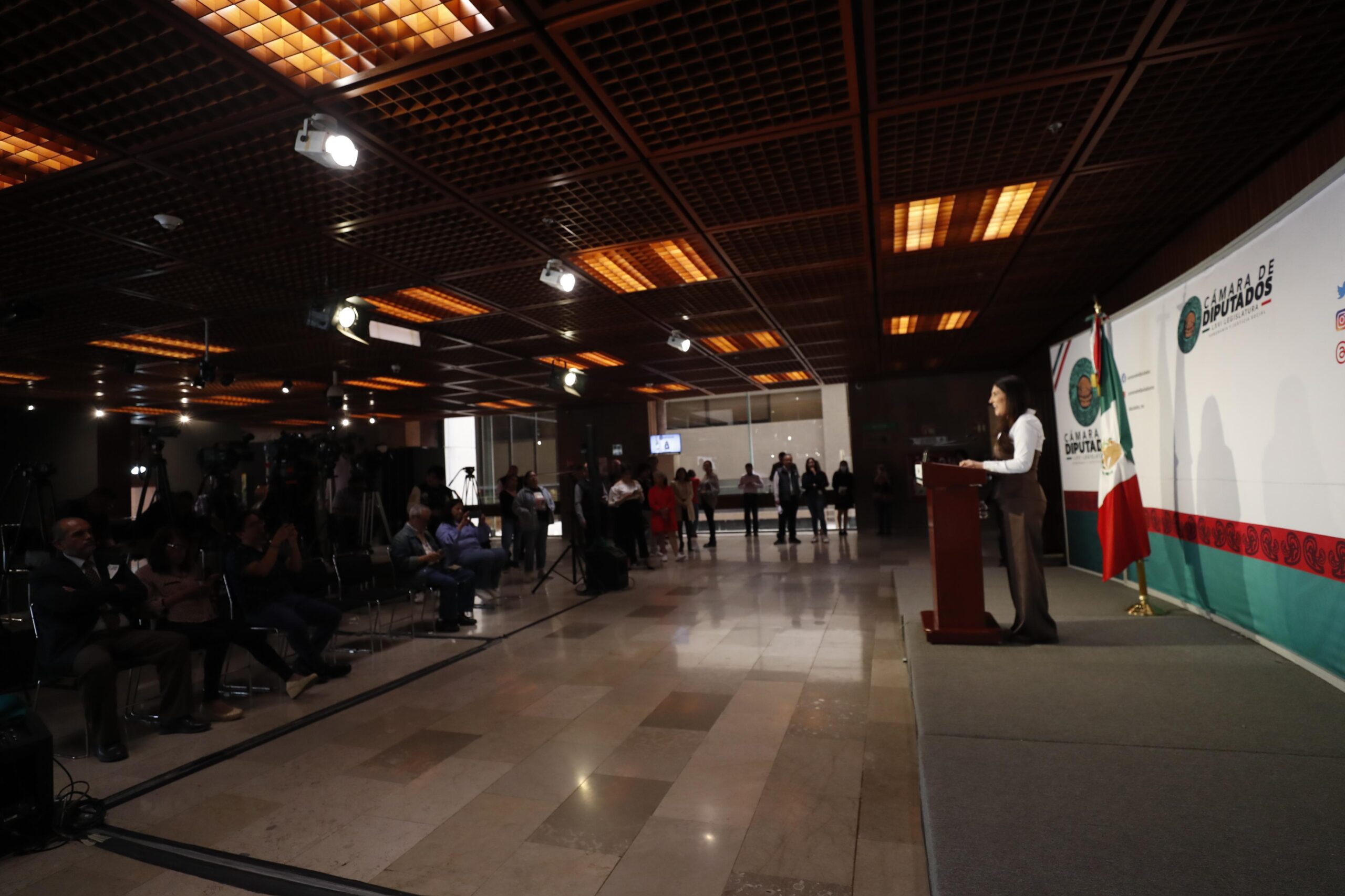 La diputada demanda investigar redes políticas del crimen.