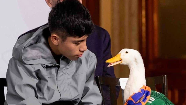 IMPI confirma protección legal para la imagen y nombre del Pato Merlín.