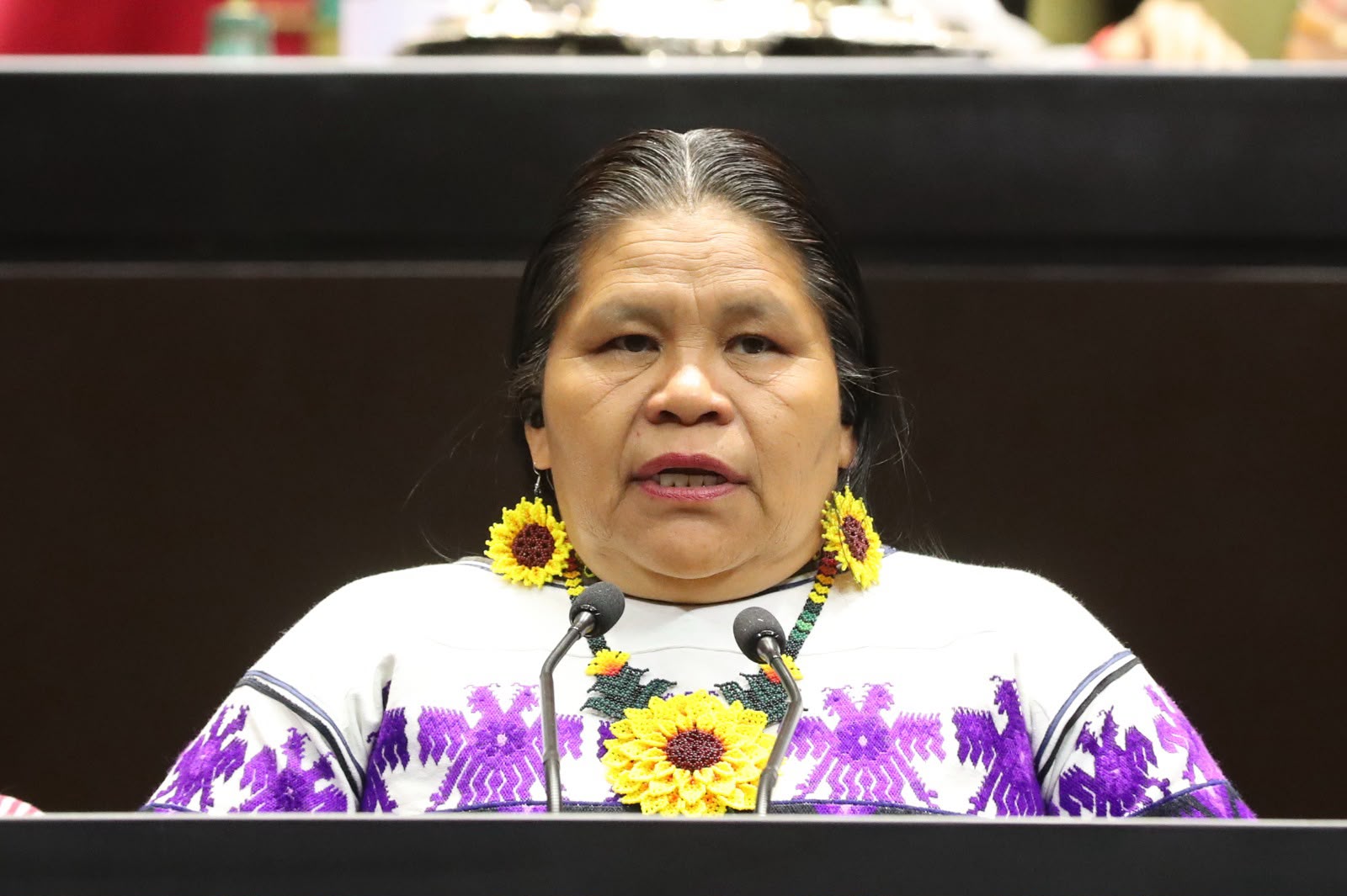 Reforma actualizaría definición legal de pueblos y lenguas indígenas.