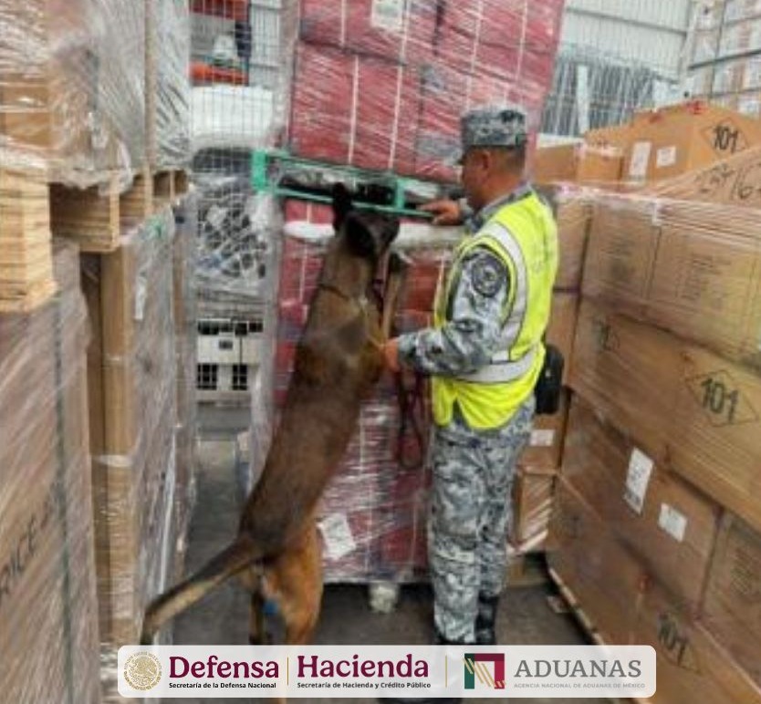 ANAM y Defensa detectan cargamento ilegal en aduana del AIFA.