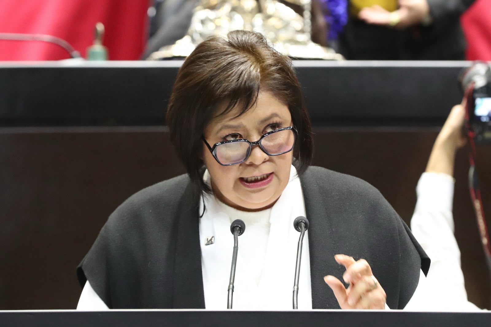 La diputada Hernández García (MC) plantea cambios a la Ley General de Población