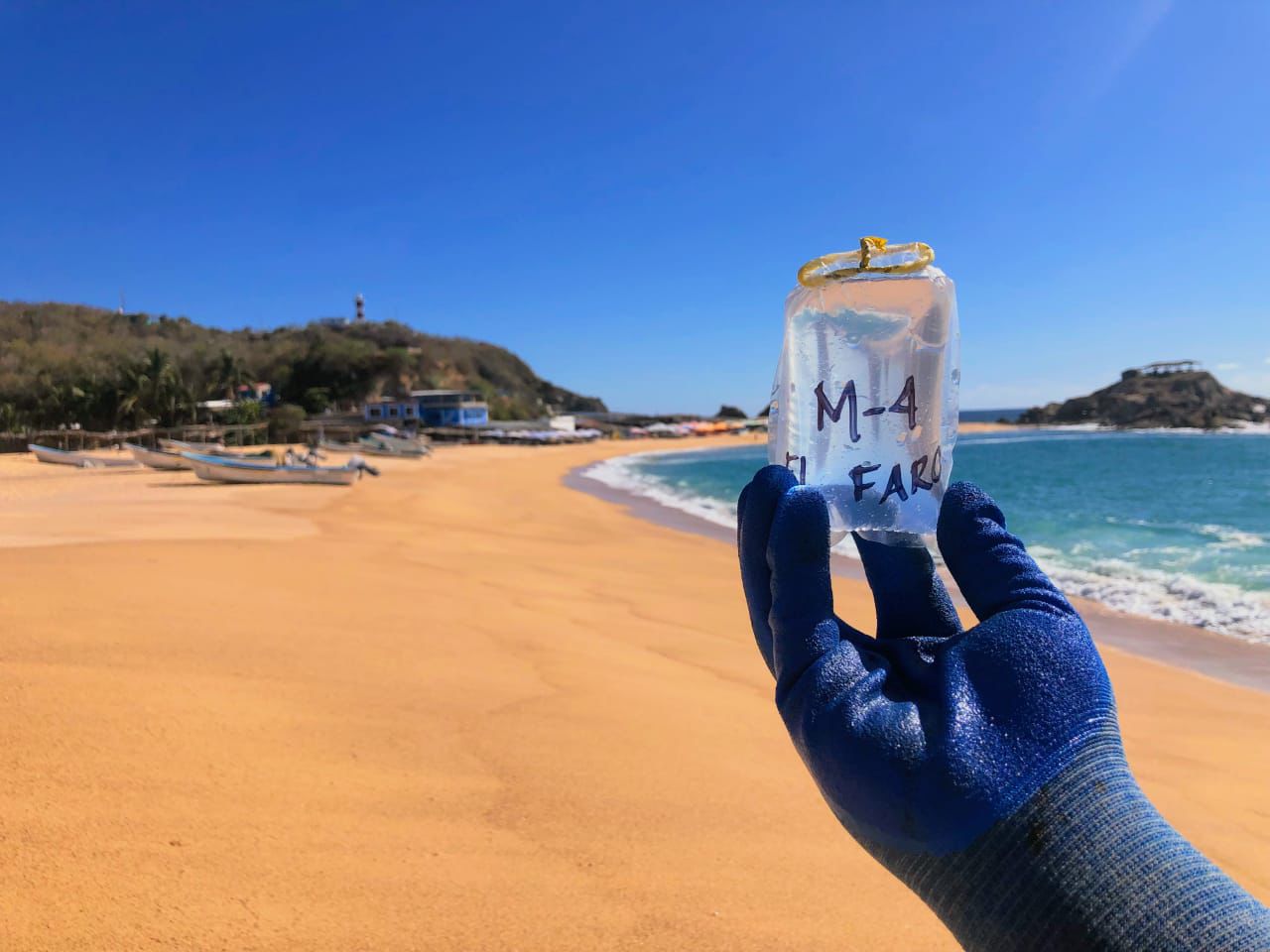 Cofepris detecta cinco playas con riesgo sanitario para bañistas este verano.
