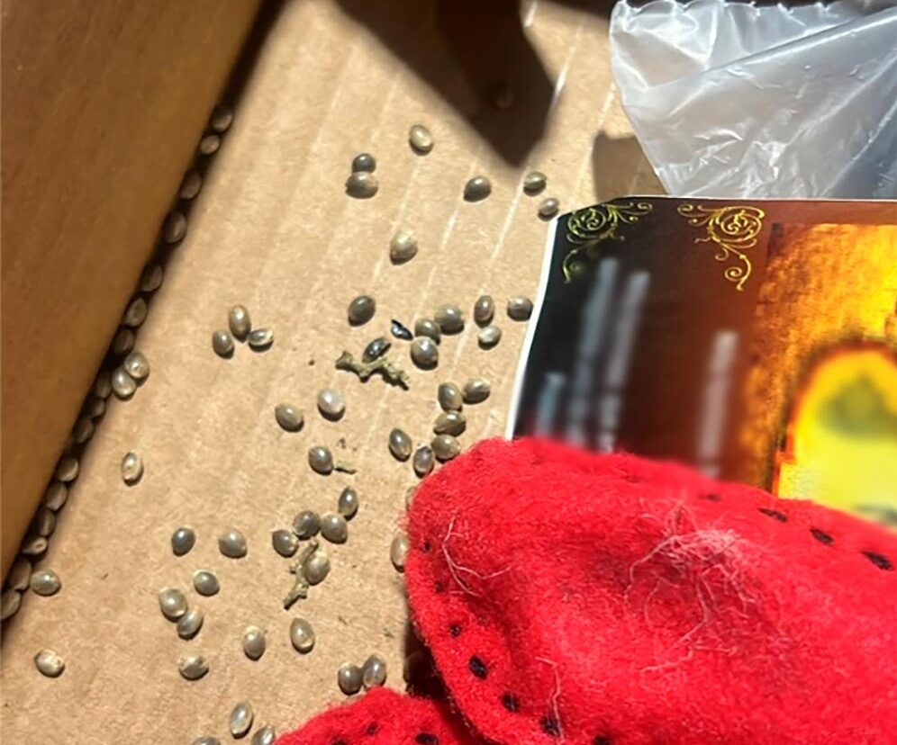 El cargamento salió de Sinaloa y fue interceptado en Guadalajara.