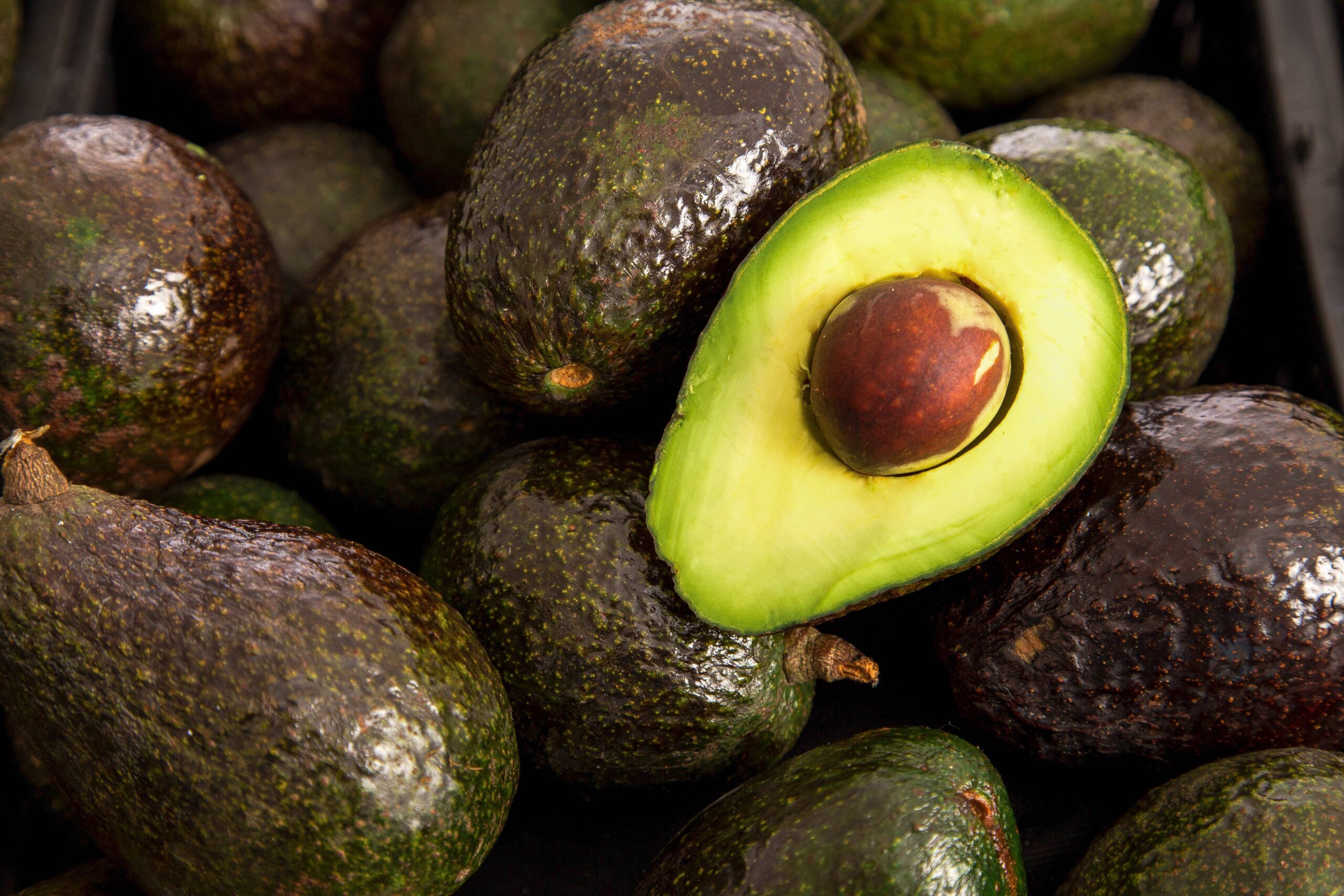 EU reactiva envíos de aguacate tras reforzar seguridad en Michoacán.