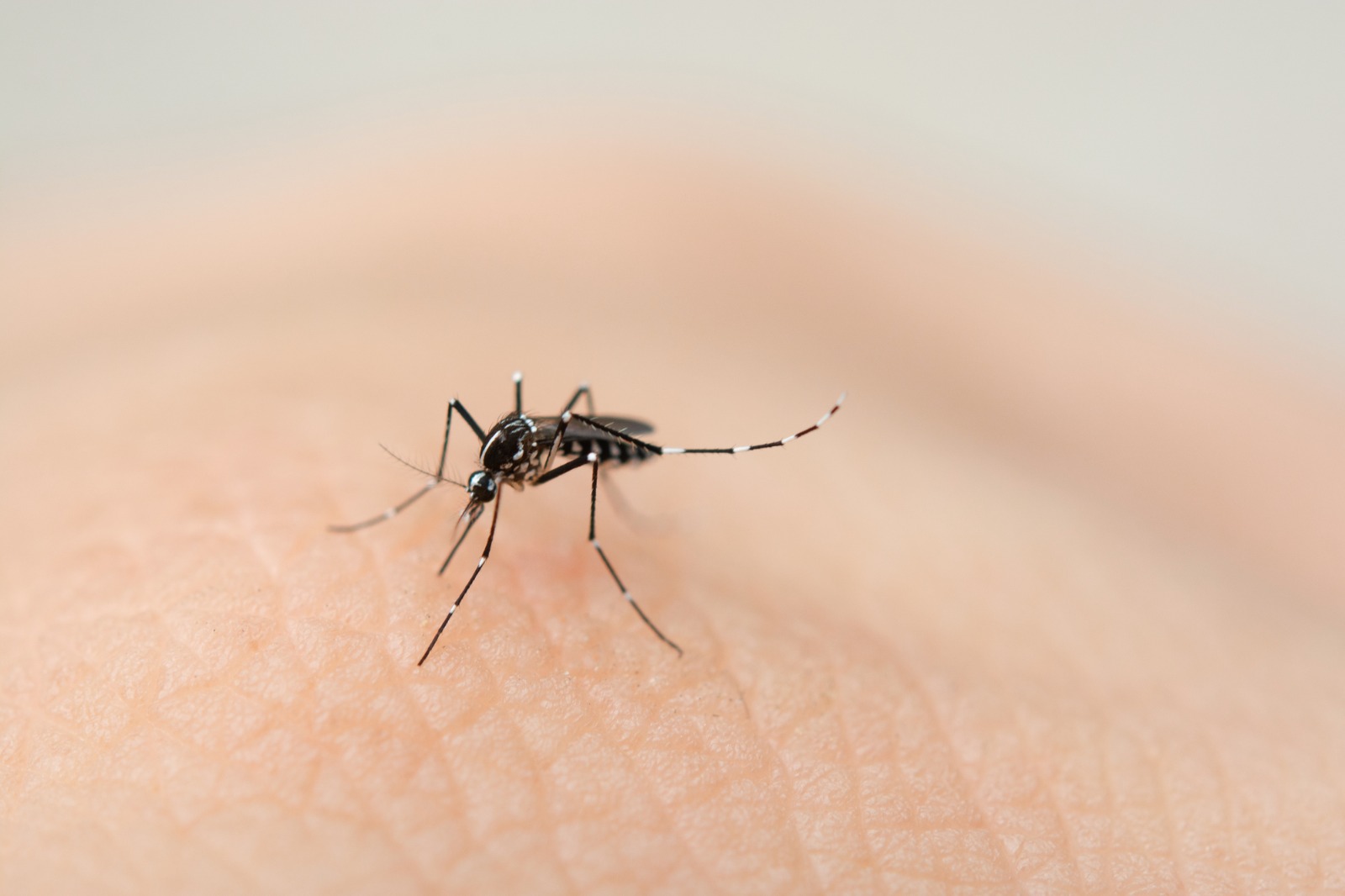 Kershenobich advierte nuevo ciclo de dengue y refuerza prevención nacional.