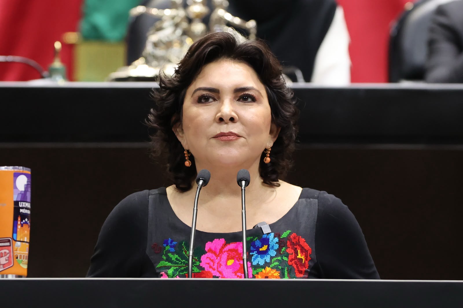 MC propone verificar propiedad de bienes antes de aceptar una prenda