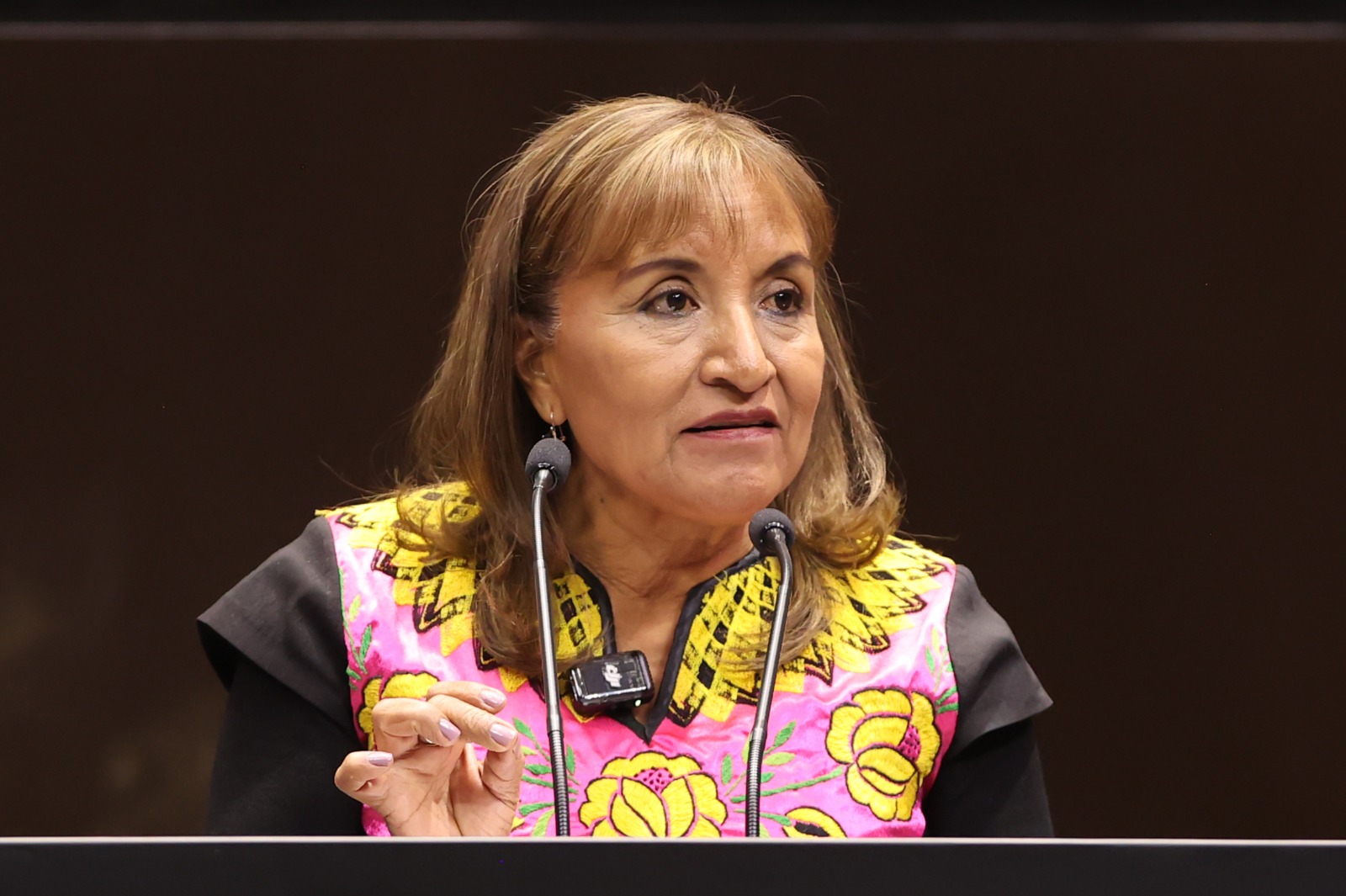 Piden fortalecer recursos, prevención y cooperación sanitaria regional.
