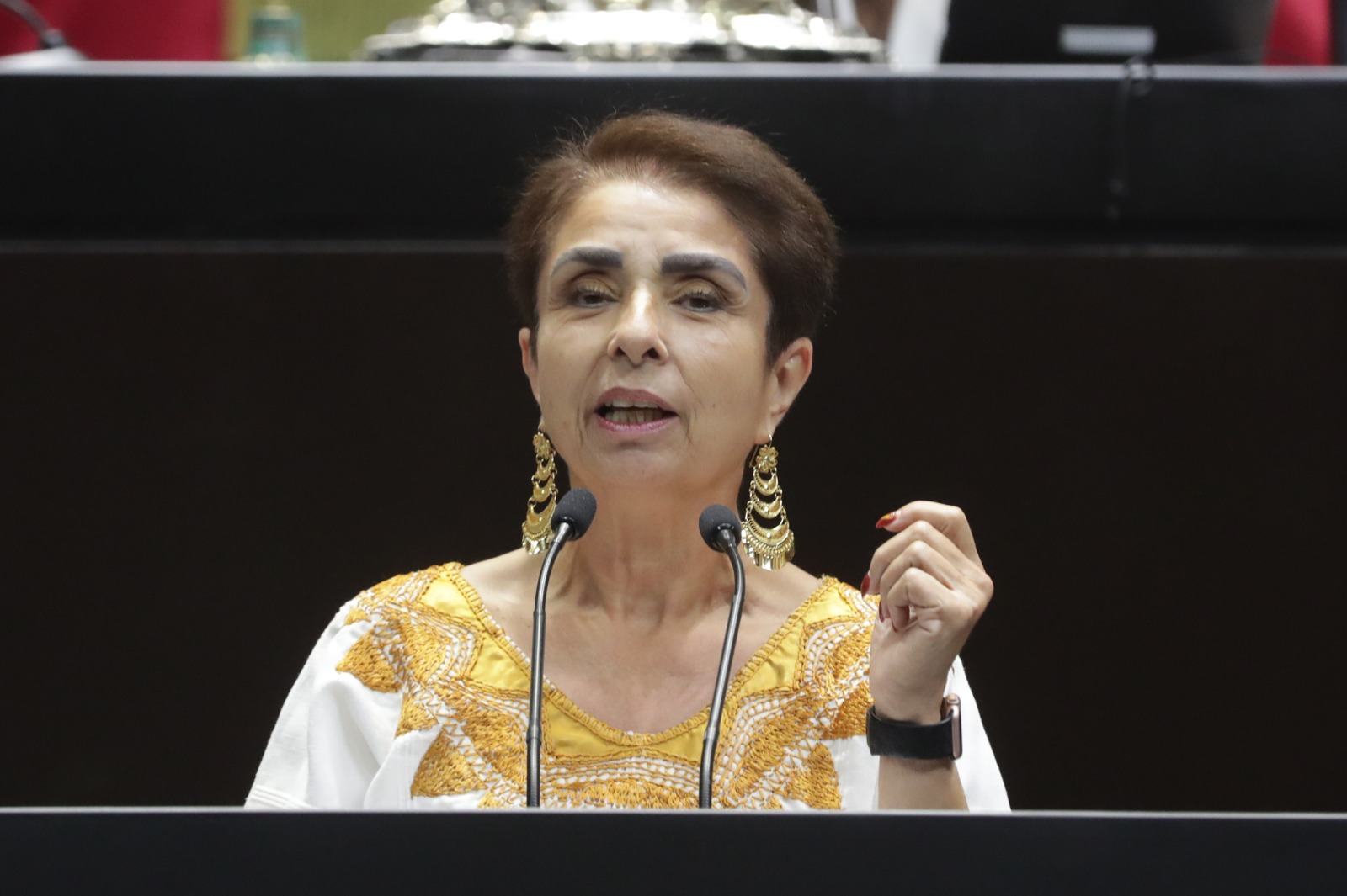 ParlAméricas refuerza control parlamentario sobre comercio y seguridad