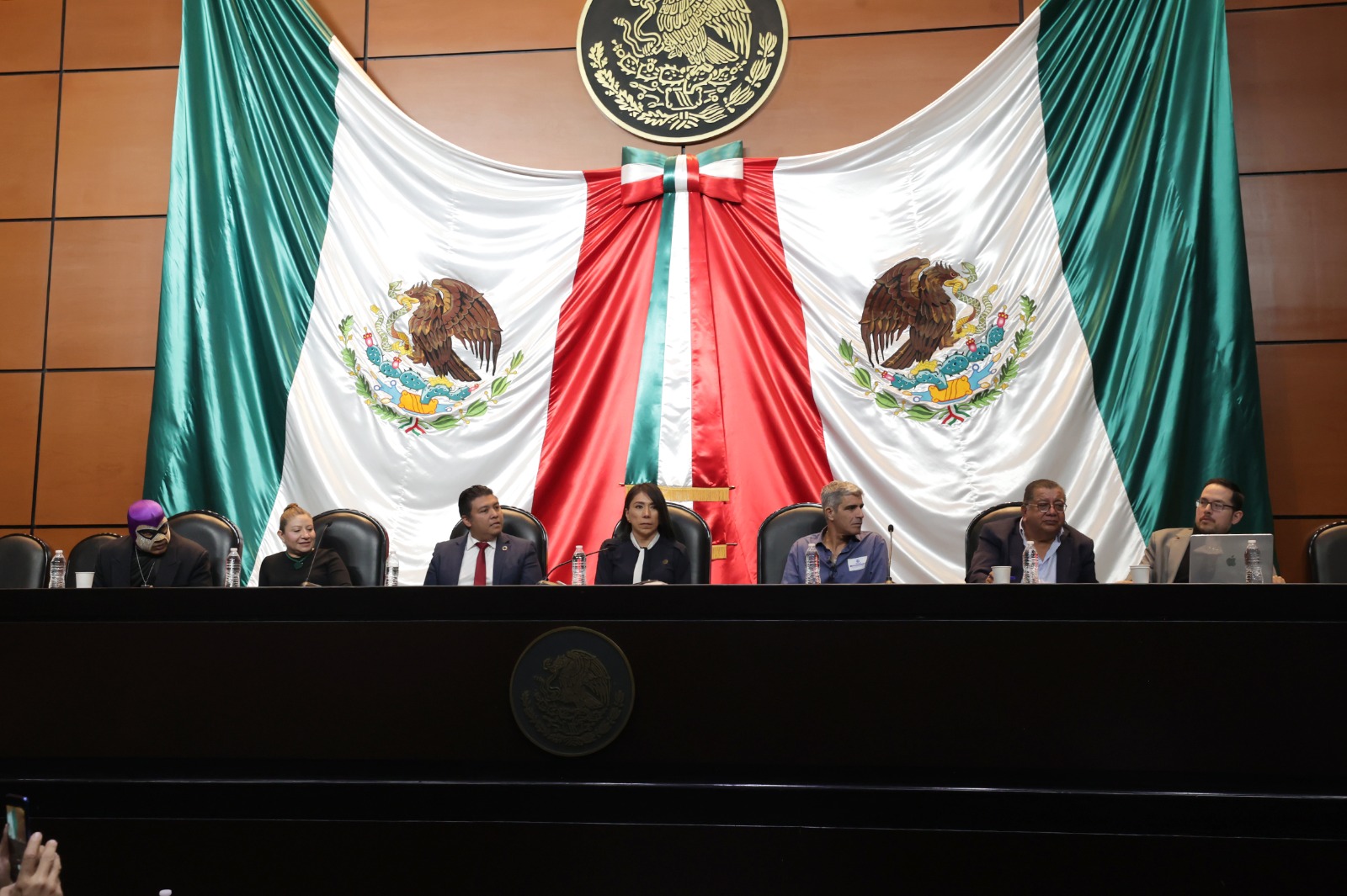 Diputada del PVEM pide más apoyo a OSC y pensiones para luchadores