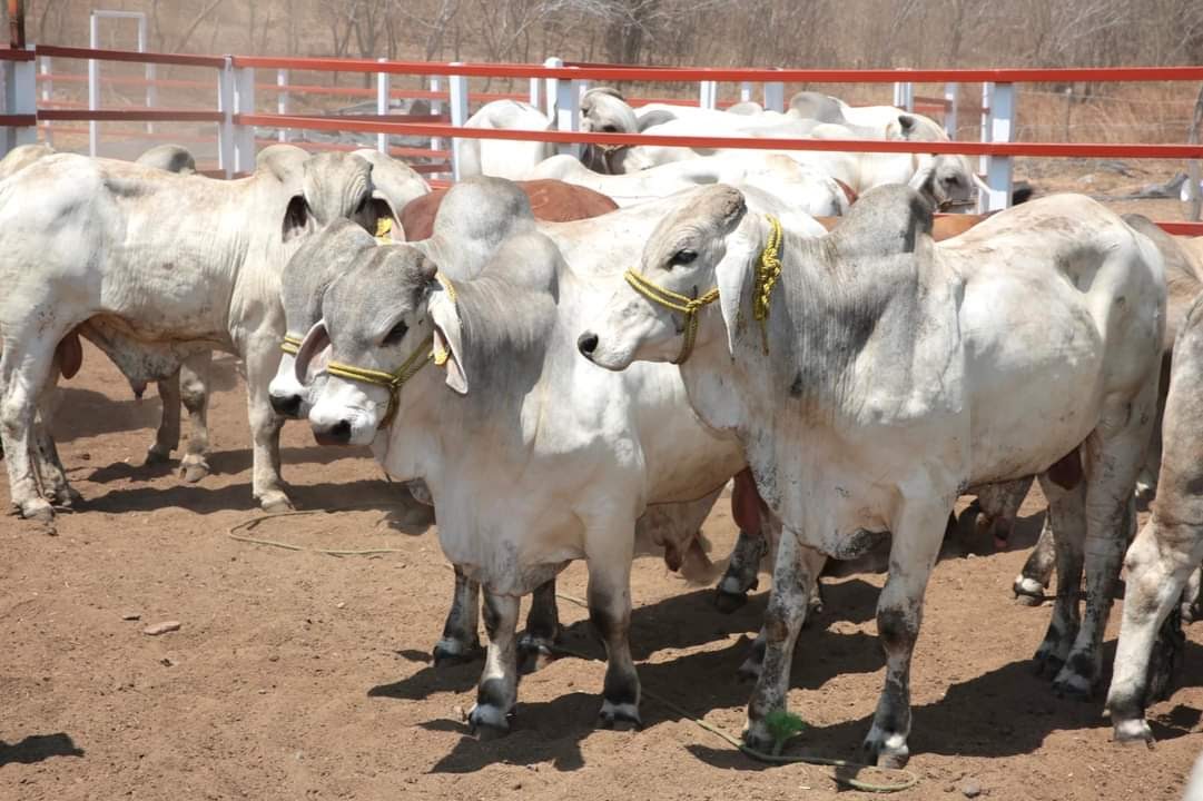 Santa Teresa reabriría el 24 de septiembre bajo estrictos controles
