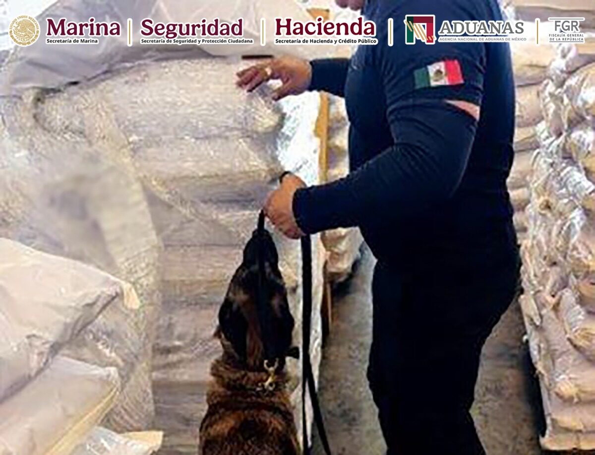 Frenan 27 toneladas de ácido tartárico procedente de China en Michoacán