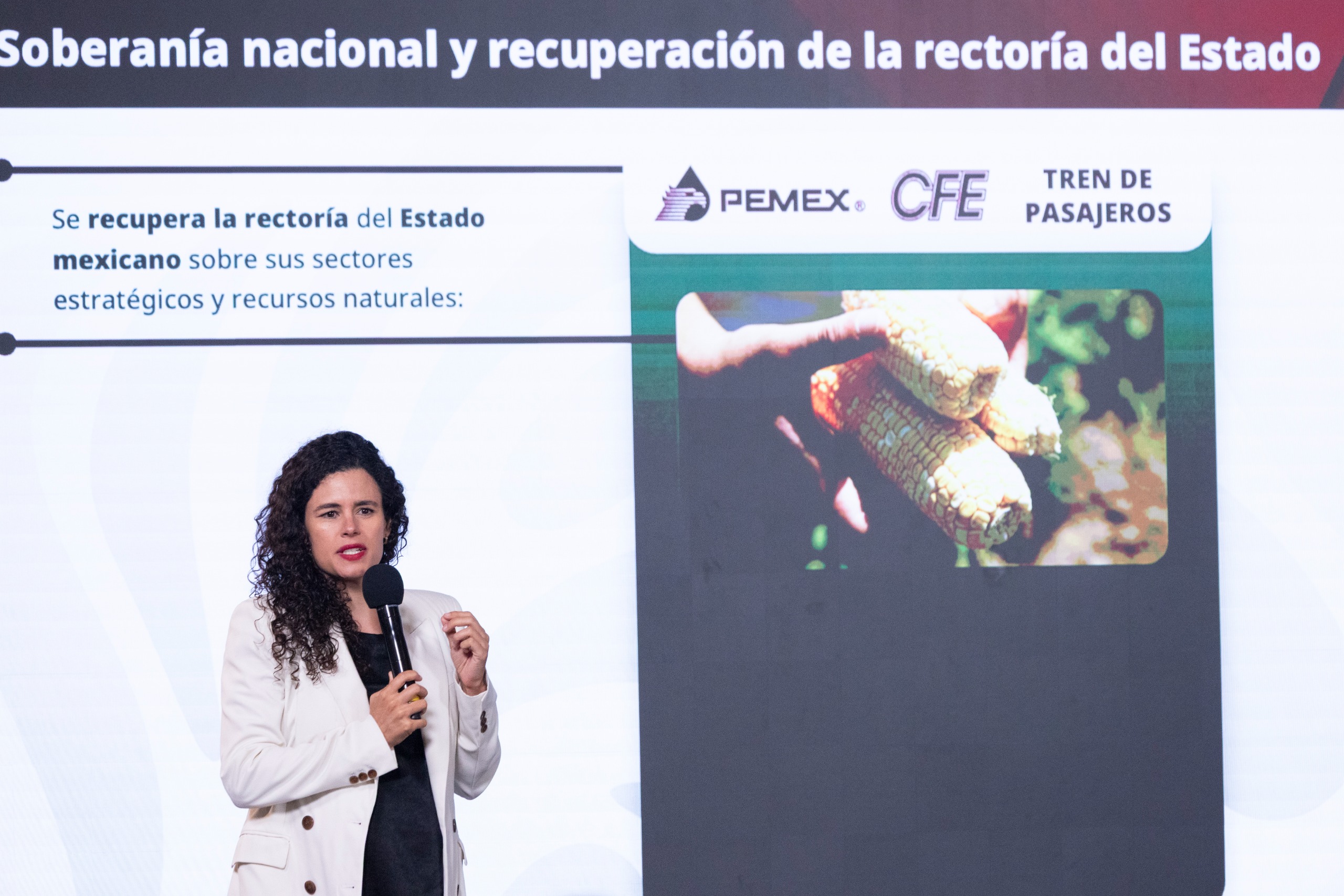 Gobierno destaca reformas en soberanía, justicia, bienestar y democracia.