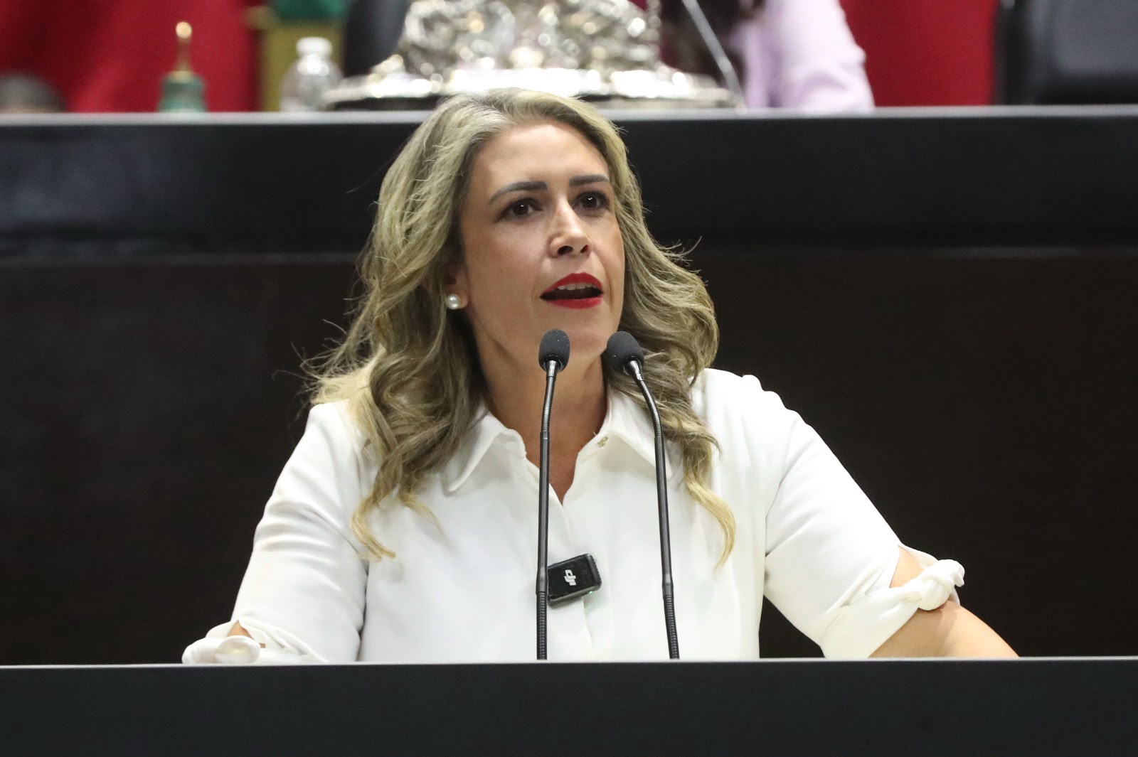 Plantean padrón nacional para vigilar promesas de candidatos electos.