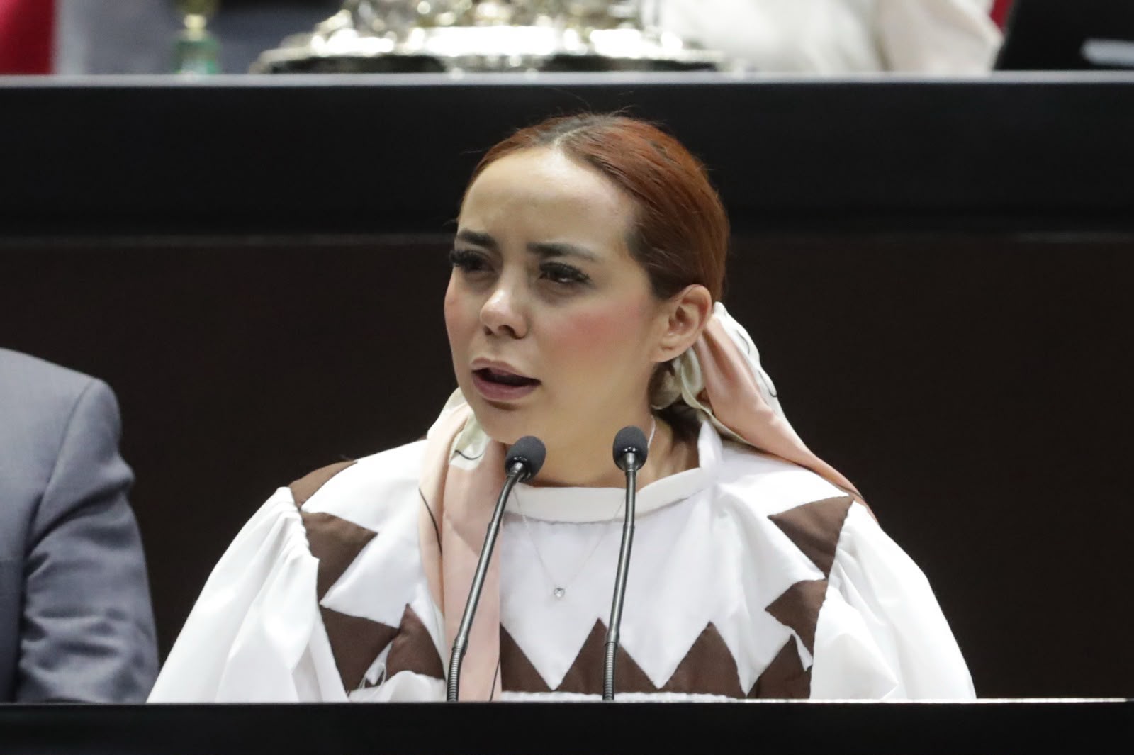 Reforma busca dar certeza legal, presupuesto y derechos a bomberos.